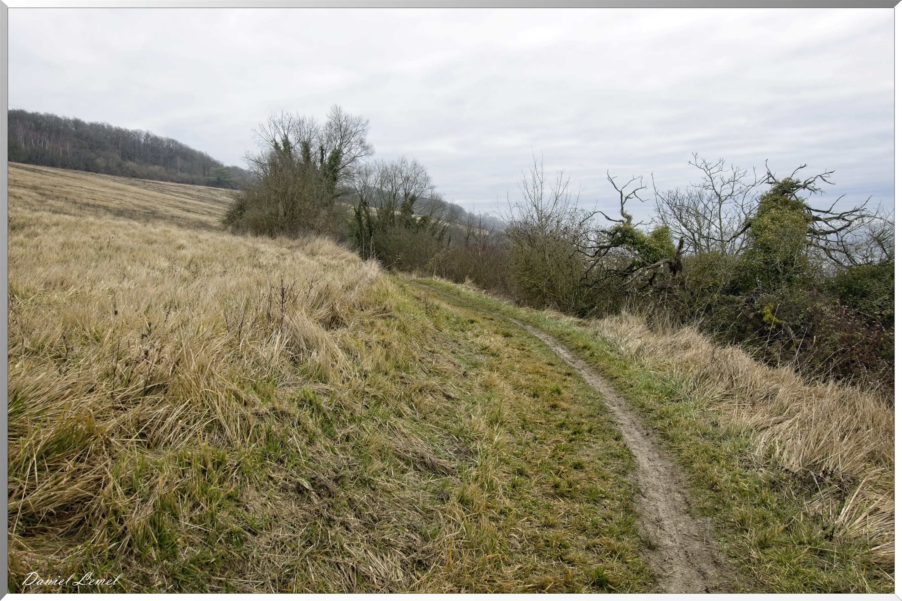 Saint-Geneviève-les-Gasny