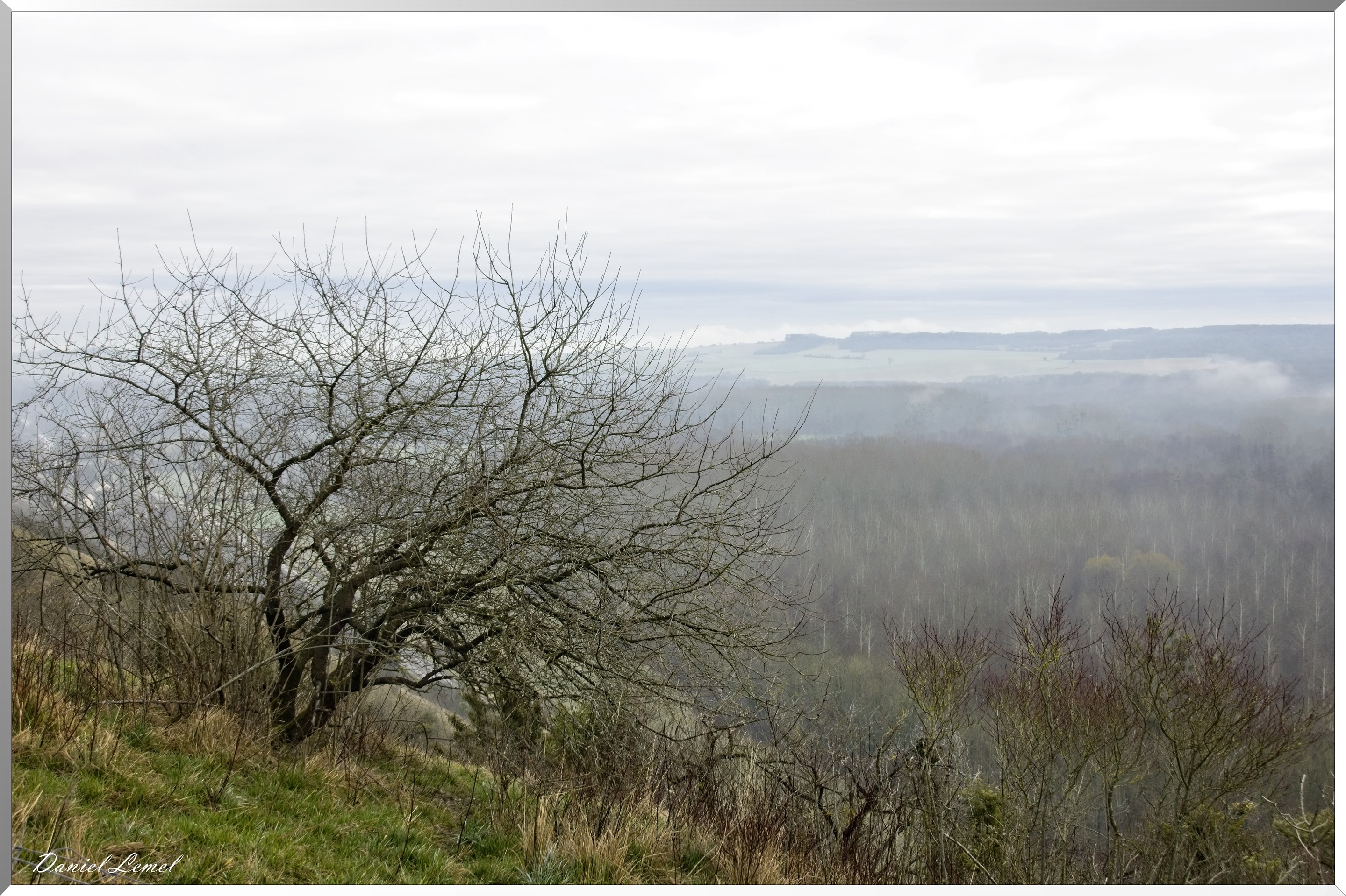 Saint-Geneviève-les-Gasny
