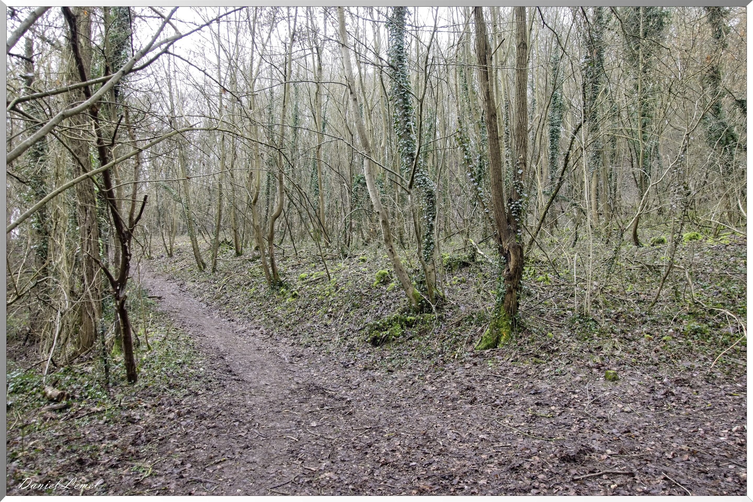 Saint-Geneviève-les-Gasny