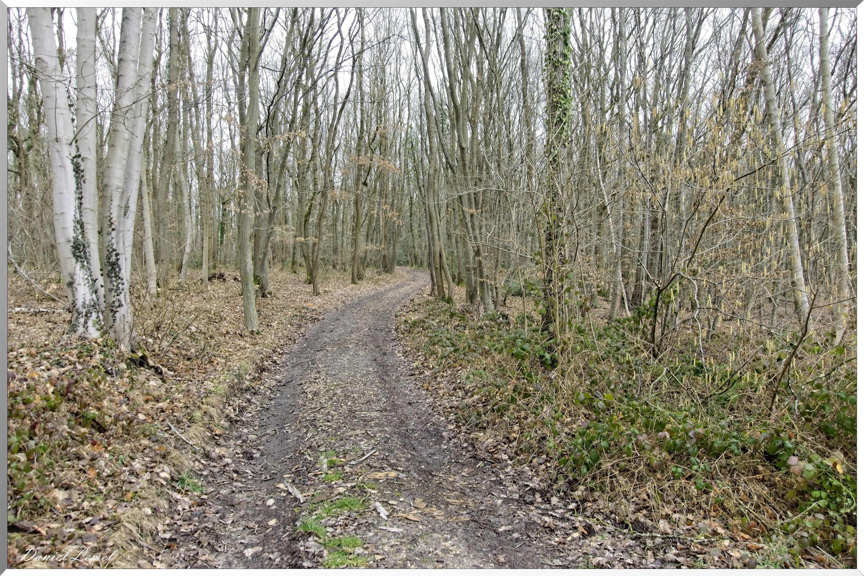 Saint-Geneviève-les-Gasny