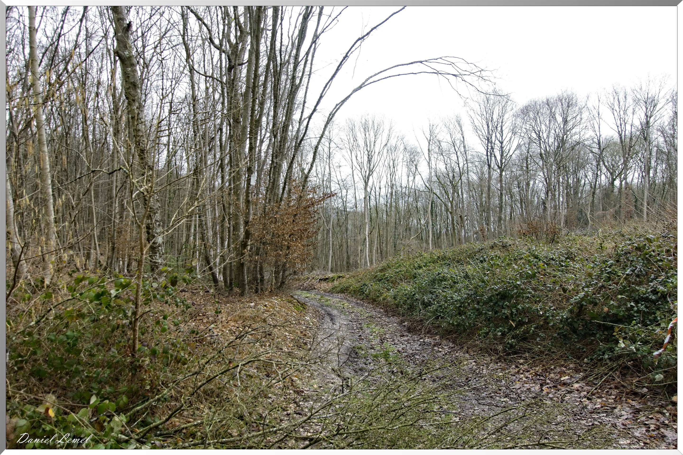 Saint-Geneviève-les-Gasny