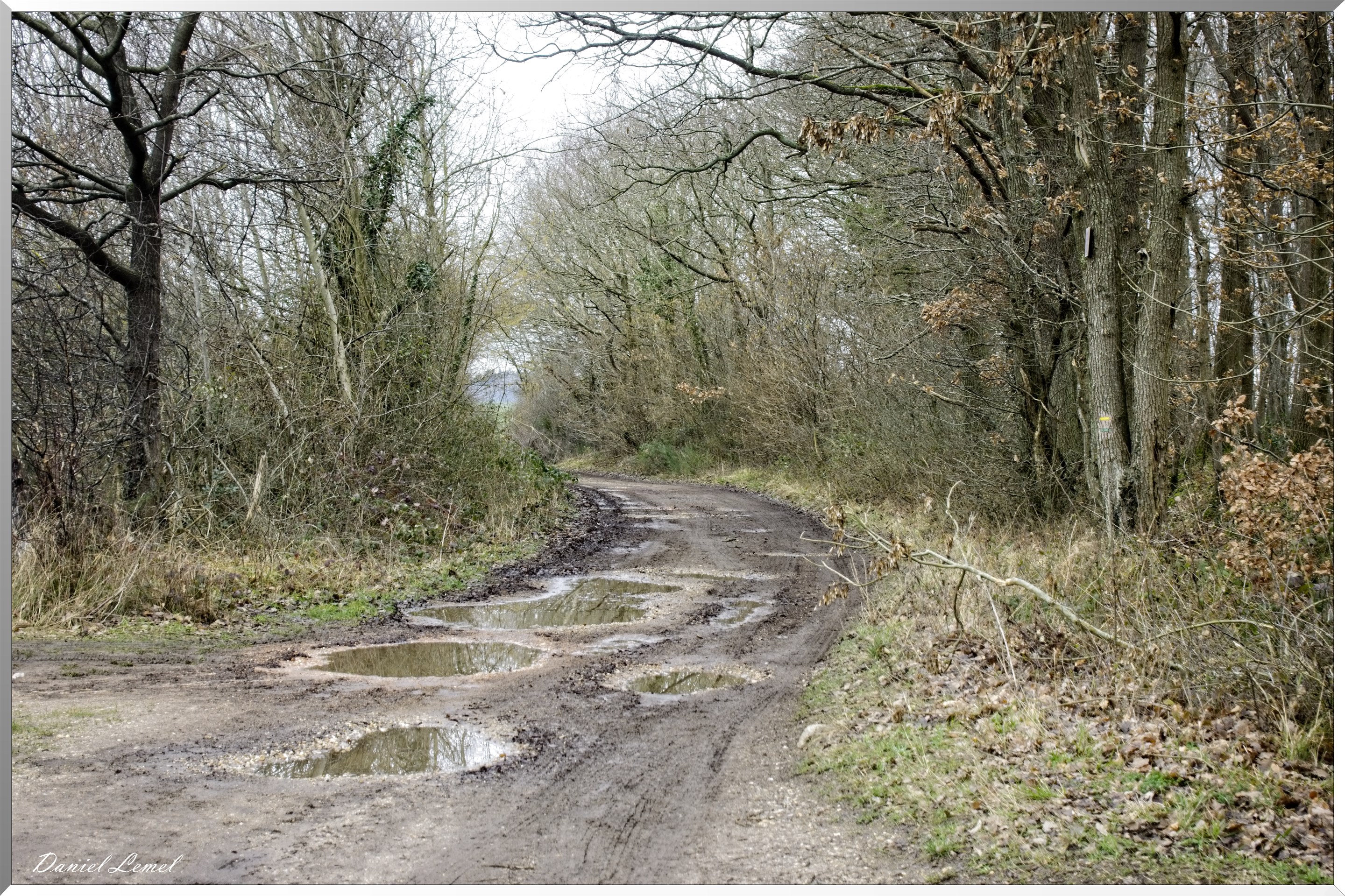 Saint-Geneviève-les-Gasny