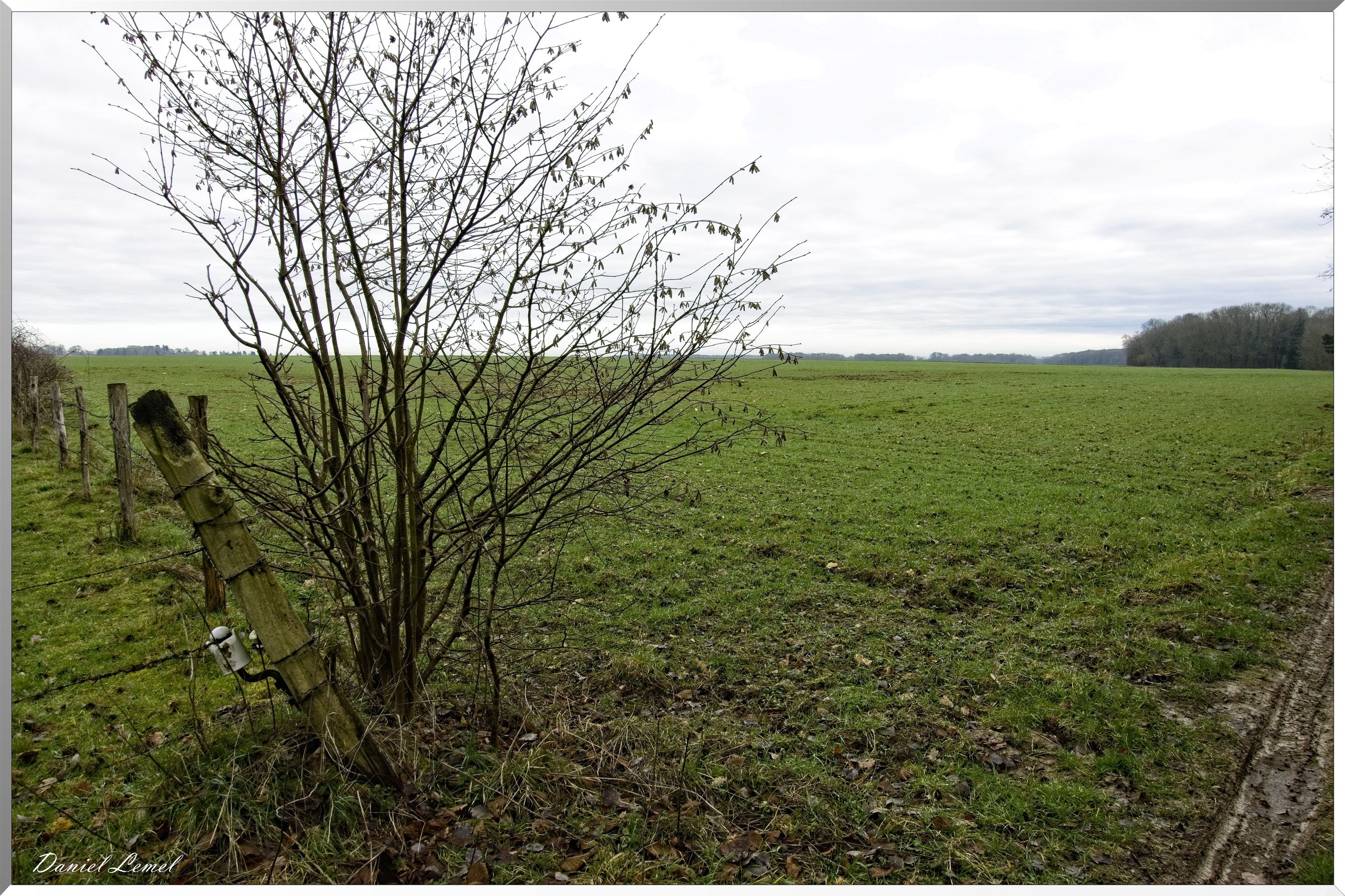 Saint-Geneviève-les-Gasny