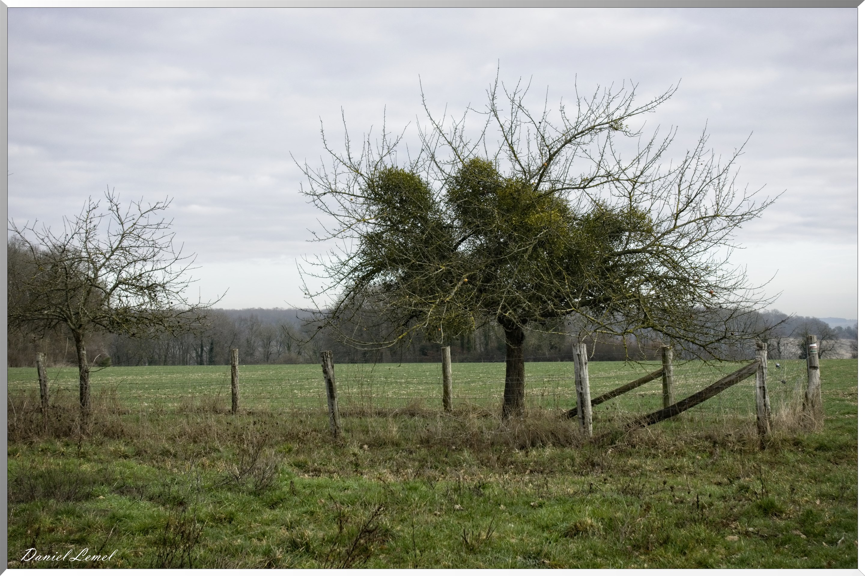 Saint-Geneviève-les-Gasny