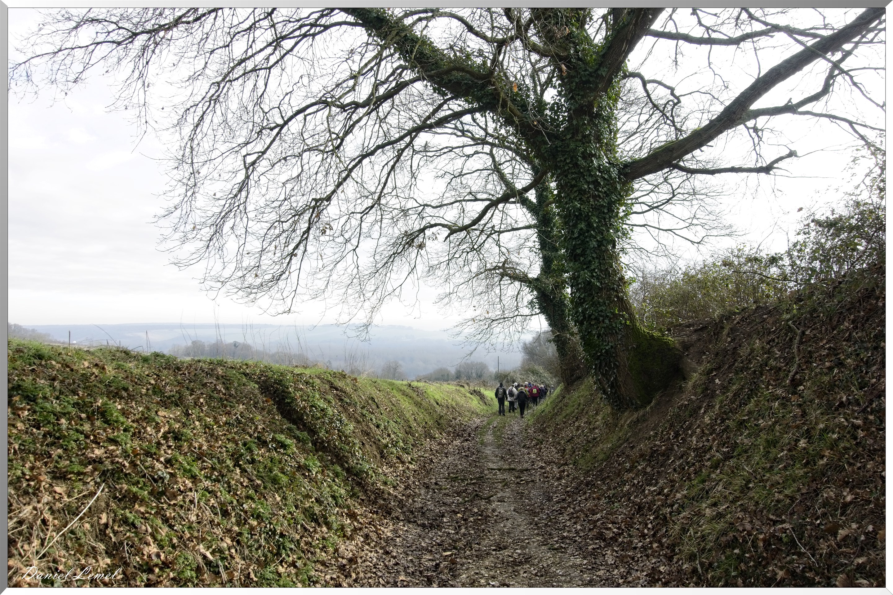 Saint-Geneviève-les-Gasny