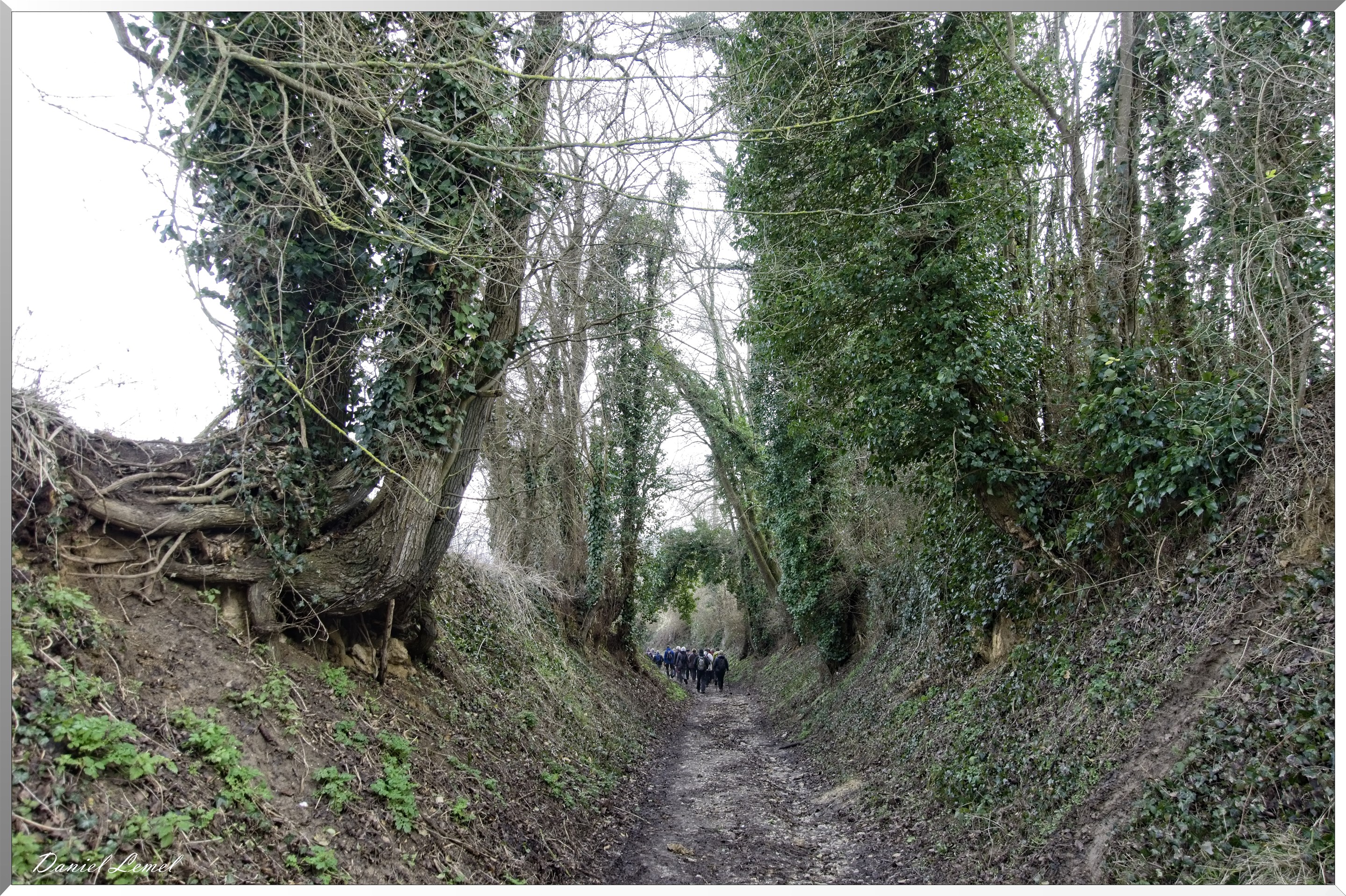 Saint-Geneviève-les-Gasny