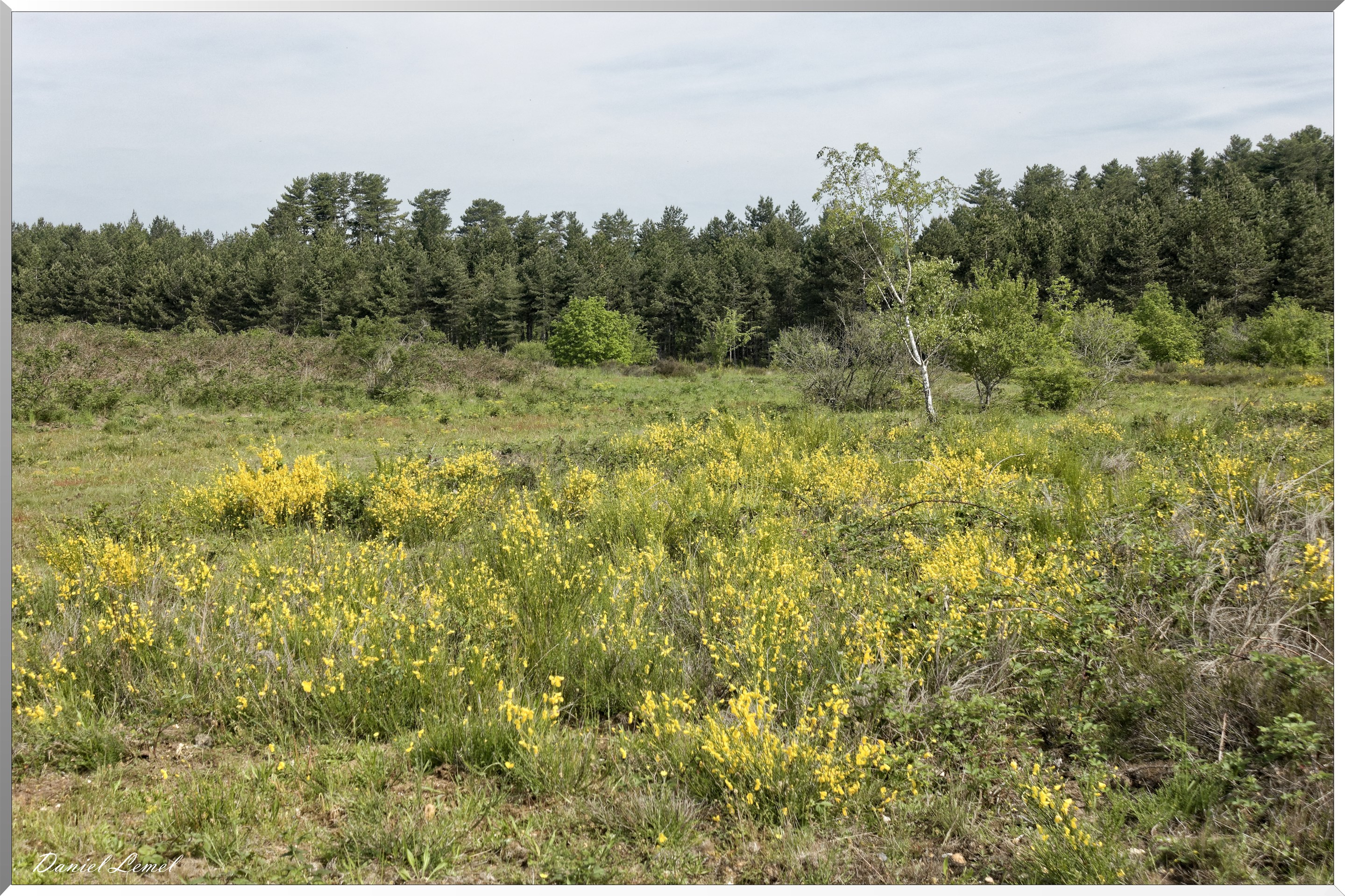 23-05-2019 - Moisson