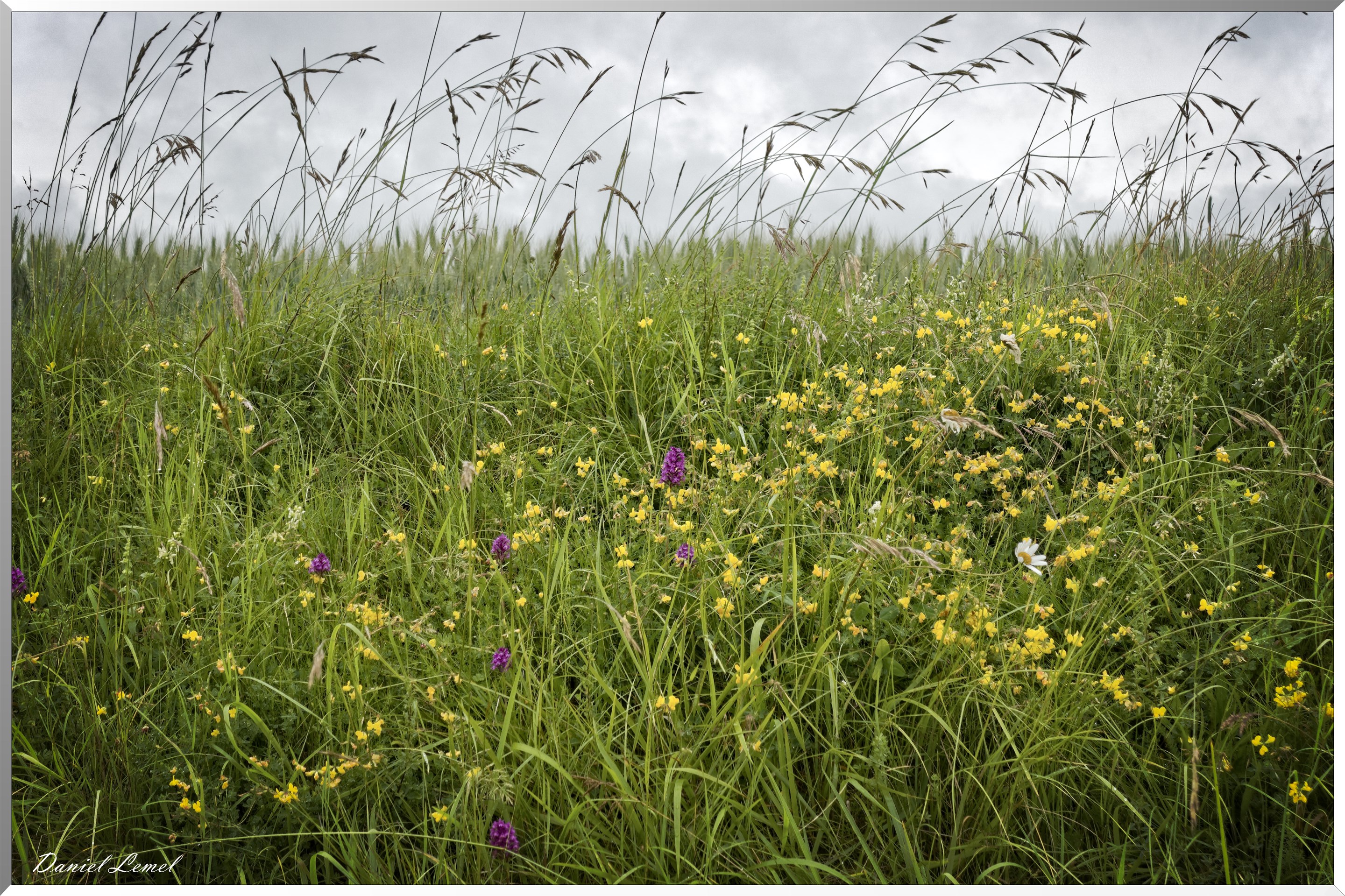 12-06-2019 - Civières