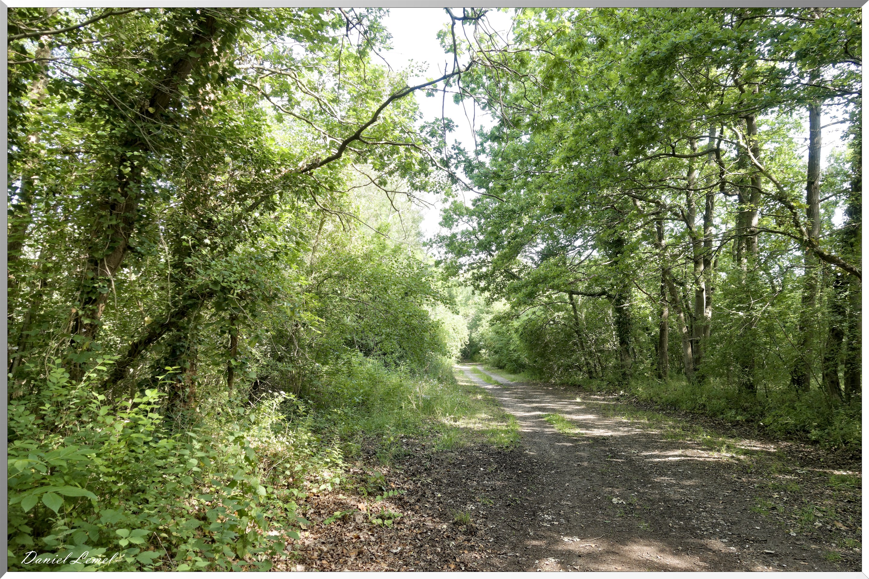 25-06-2019 - Moisson