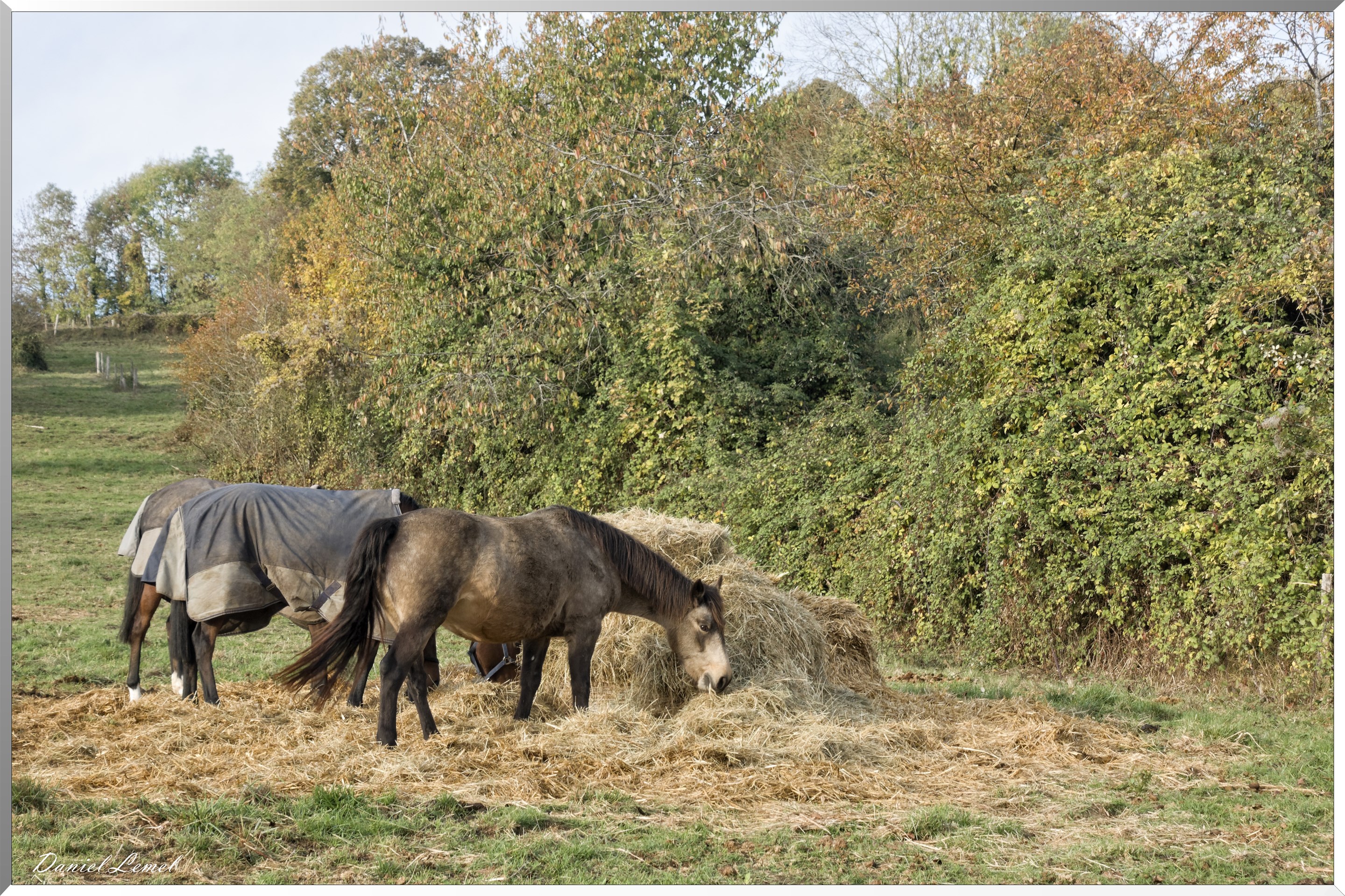 Saint-Pierre-d-Autils