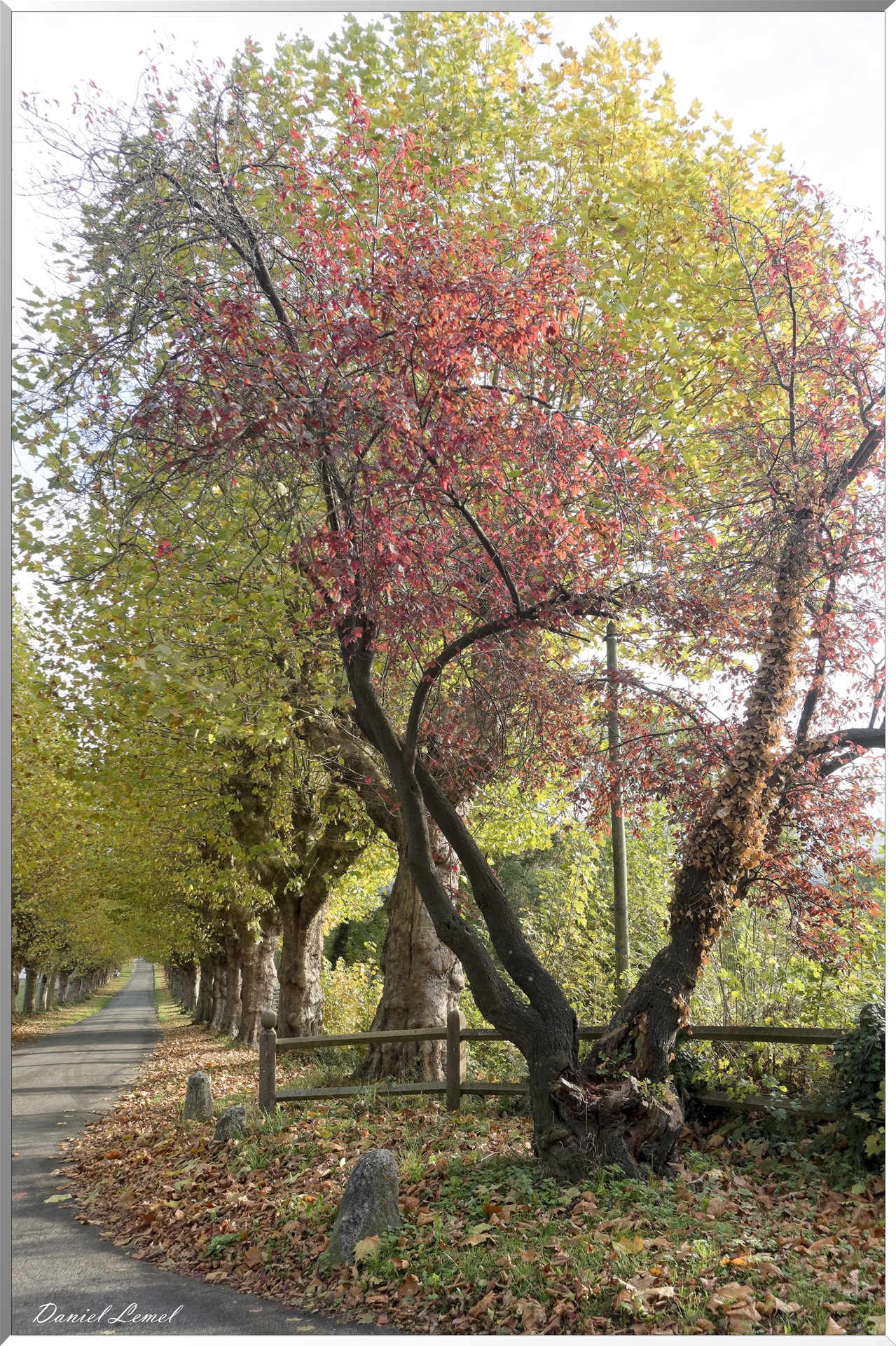 Saint-Pierre-d-Autils