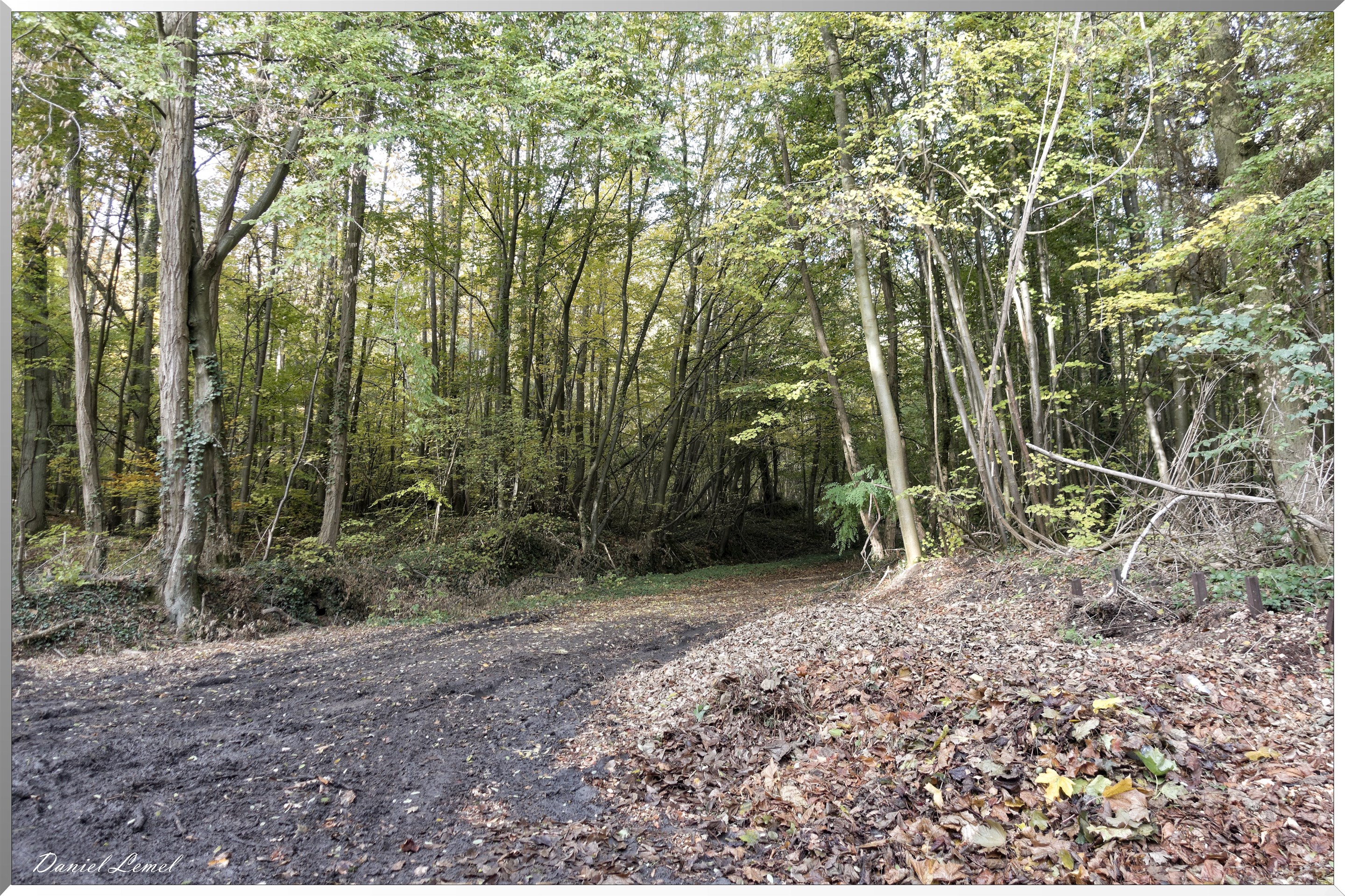 Saint-Pierre-d-Autils