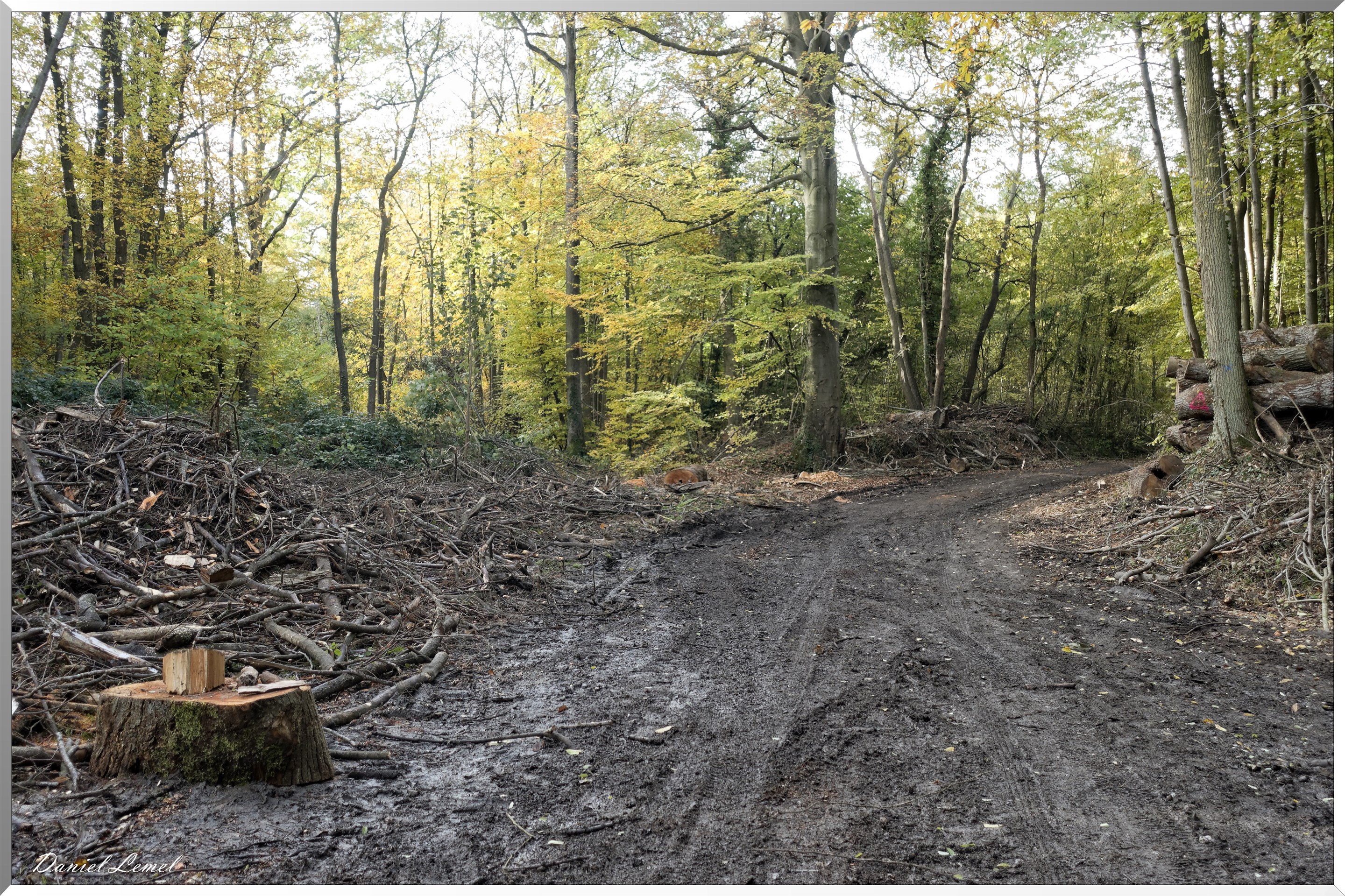 Saint-Pierre-d-Autils