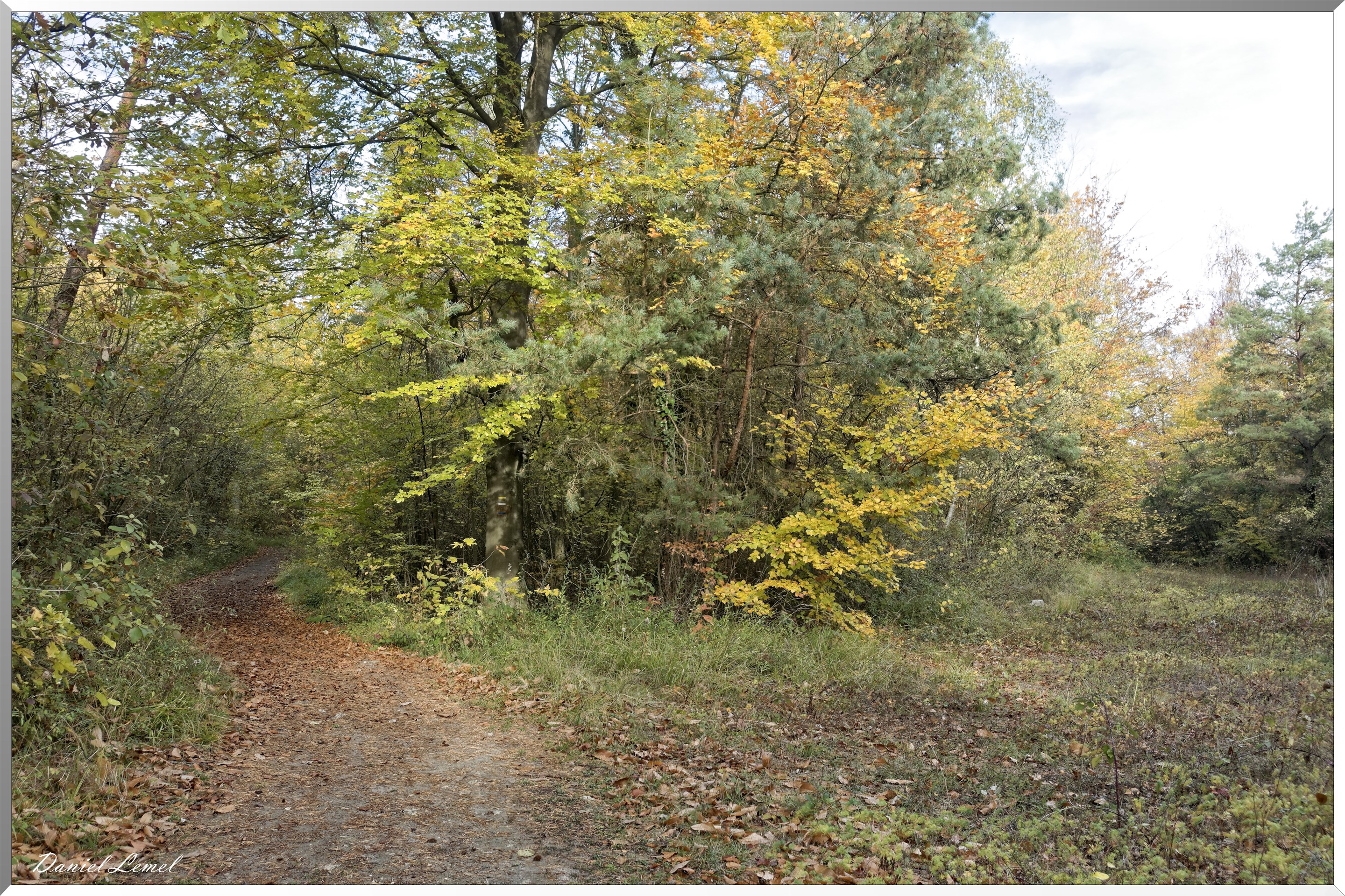 Saint-Pierre-d-Autils