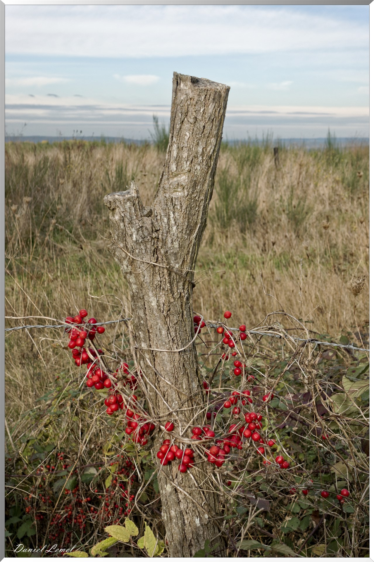Saint-Pierre-d-Autils