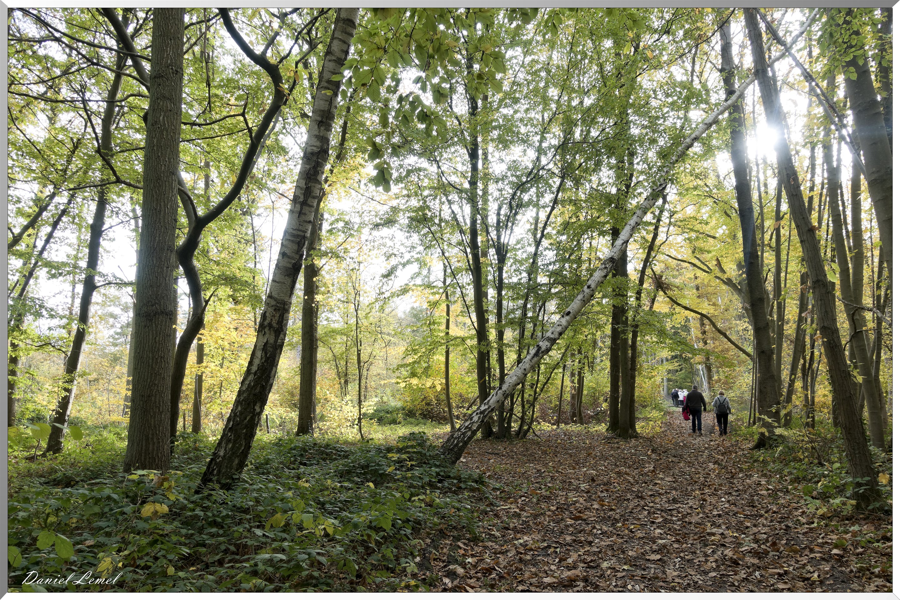 Saint-Pierre-d-Autils