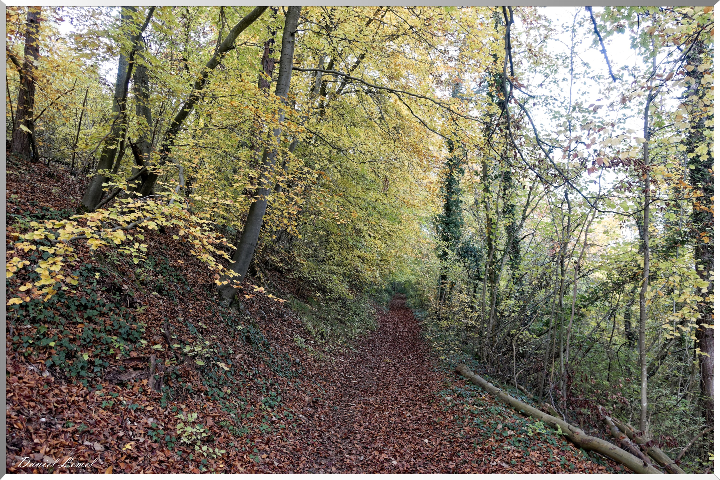 Saint-Pierre-d-Autils