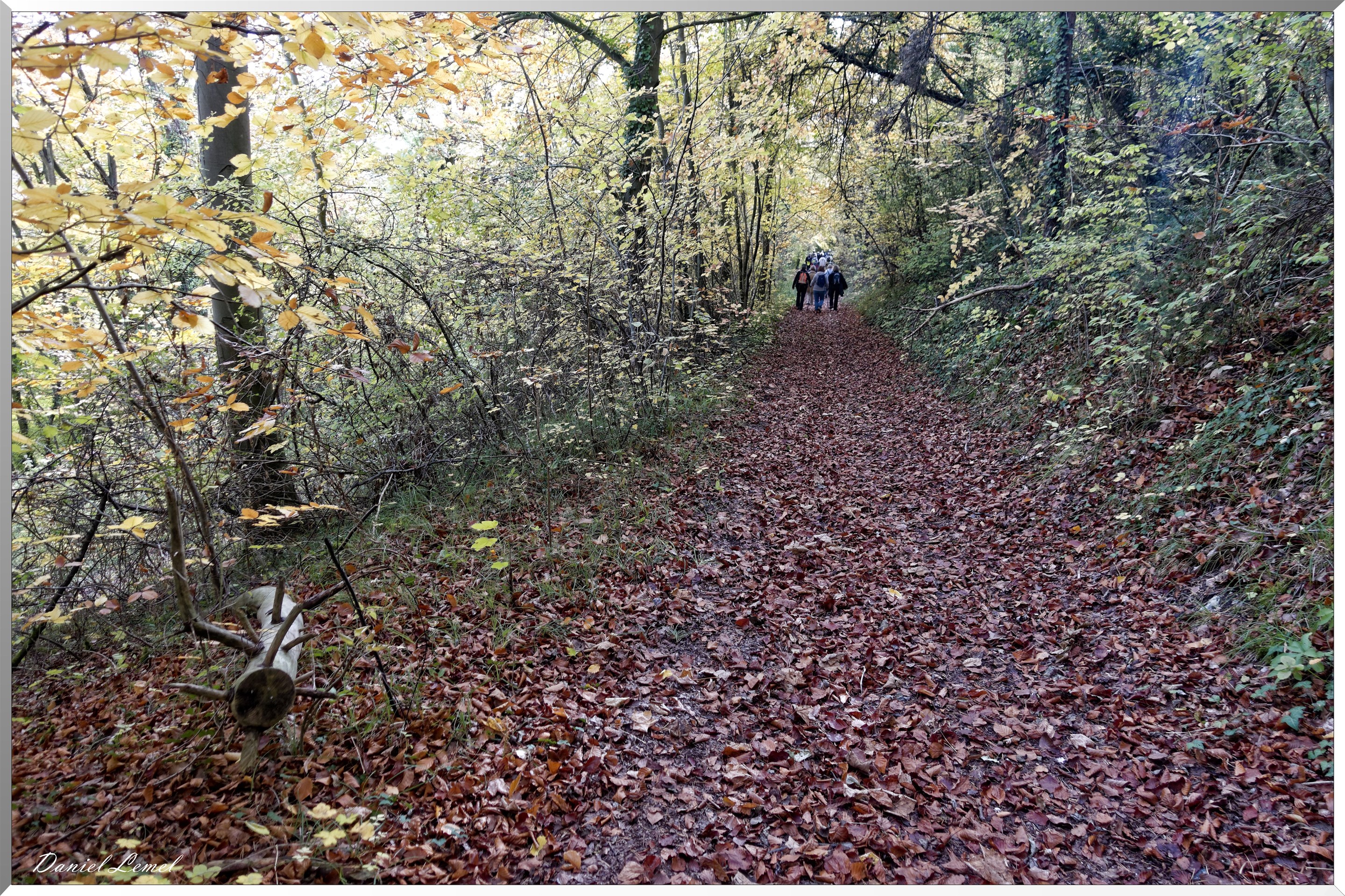 Saint-Pierre-d-Autils