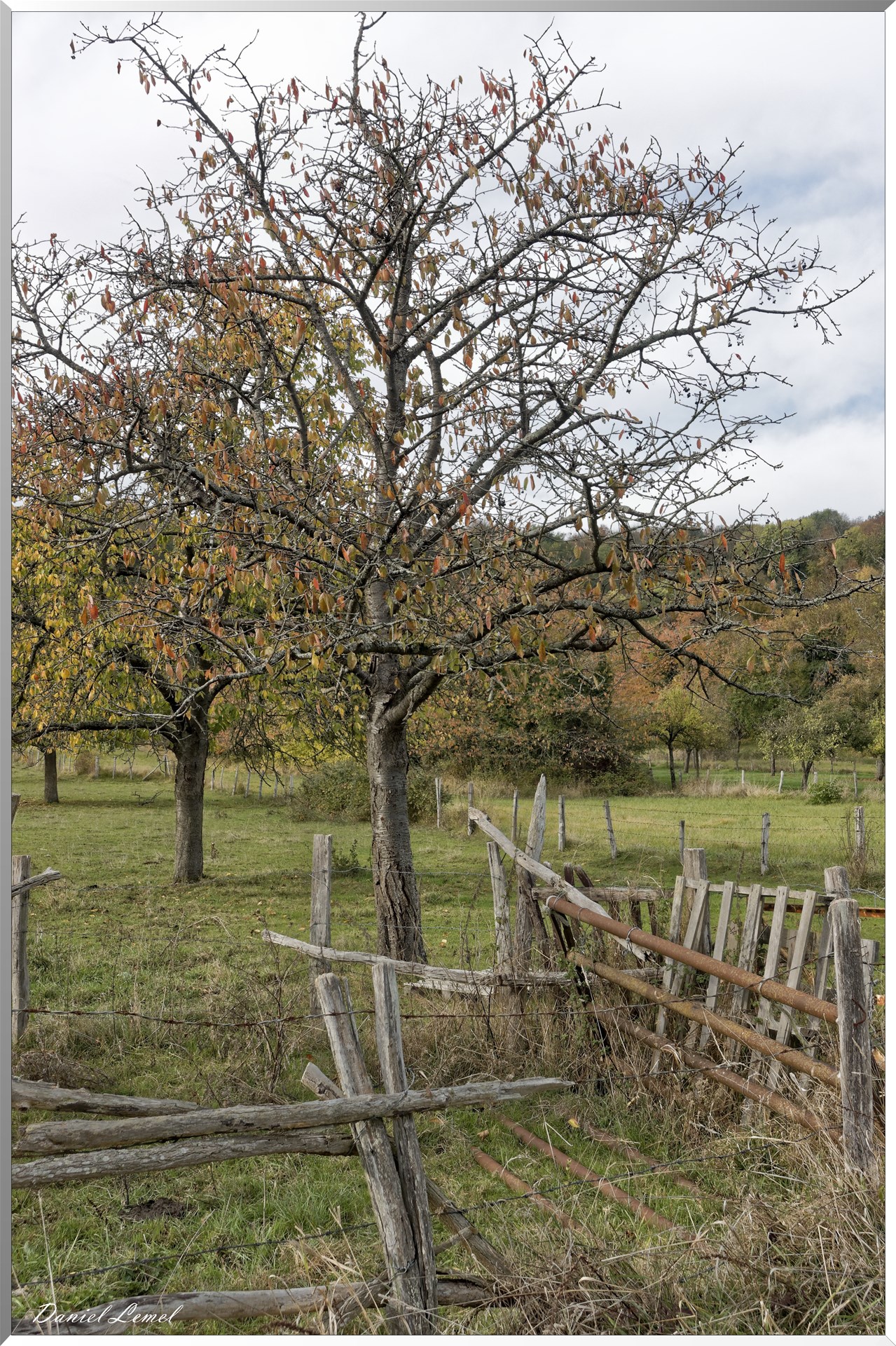 Saint-Pierre-d-Autils