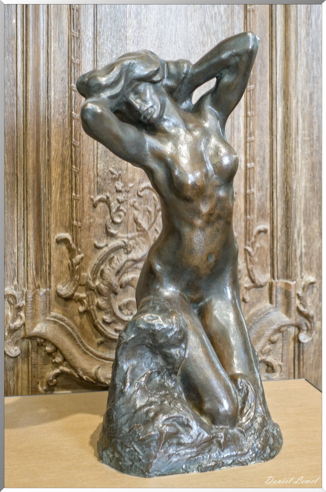 La toilette de Vénus