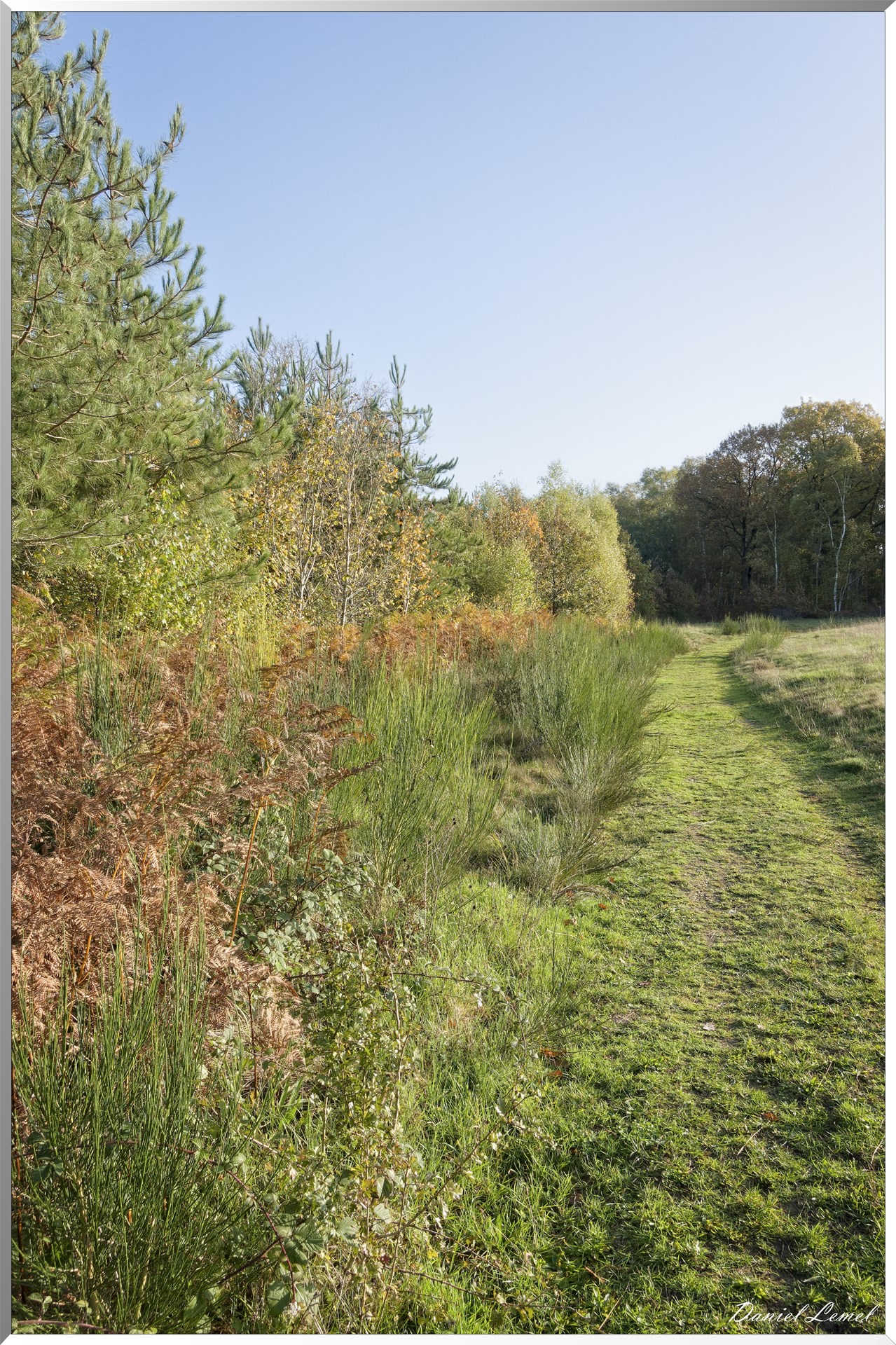 Vernon - Forêt du LRBA