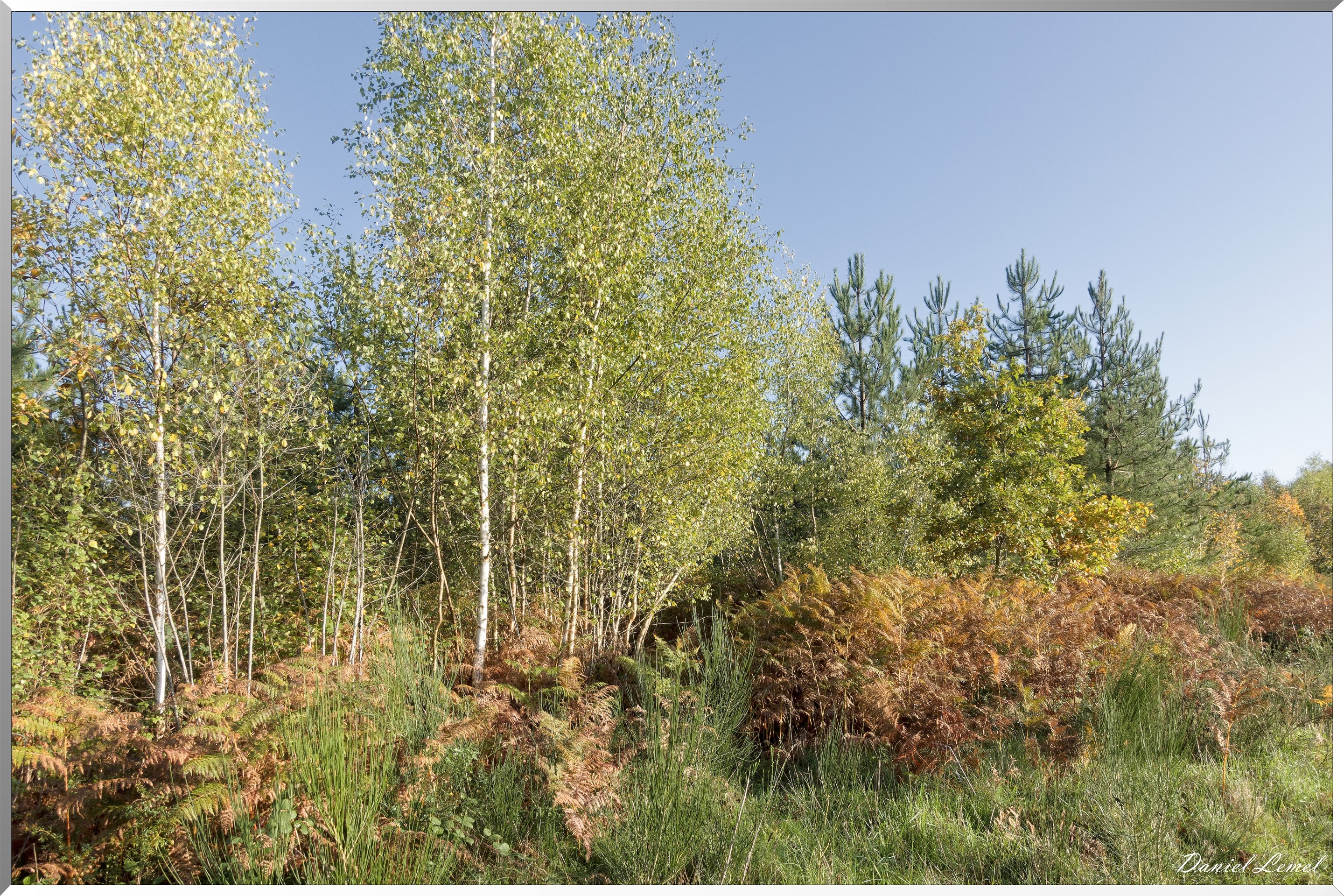 Vernon - Forêt du LRBA