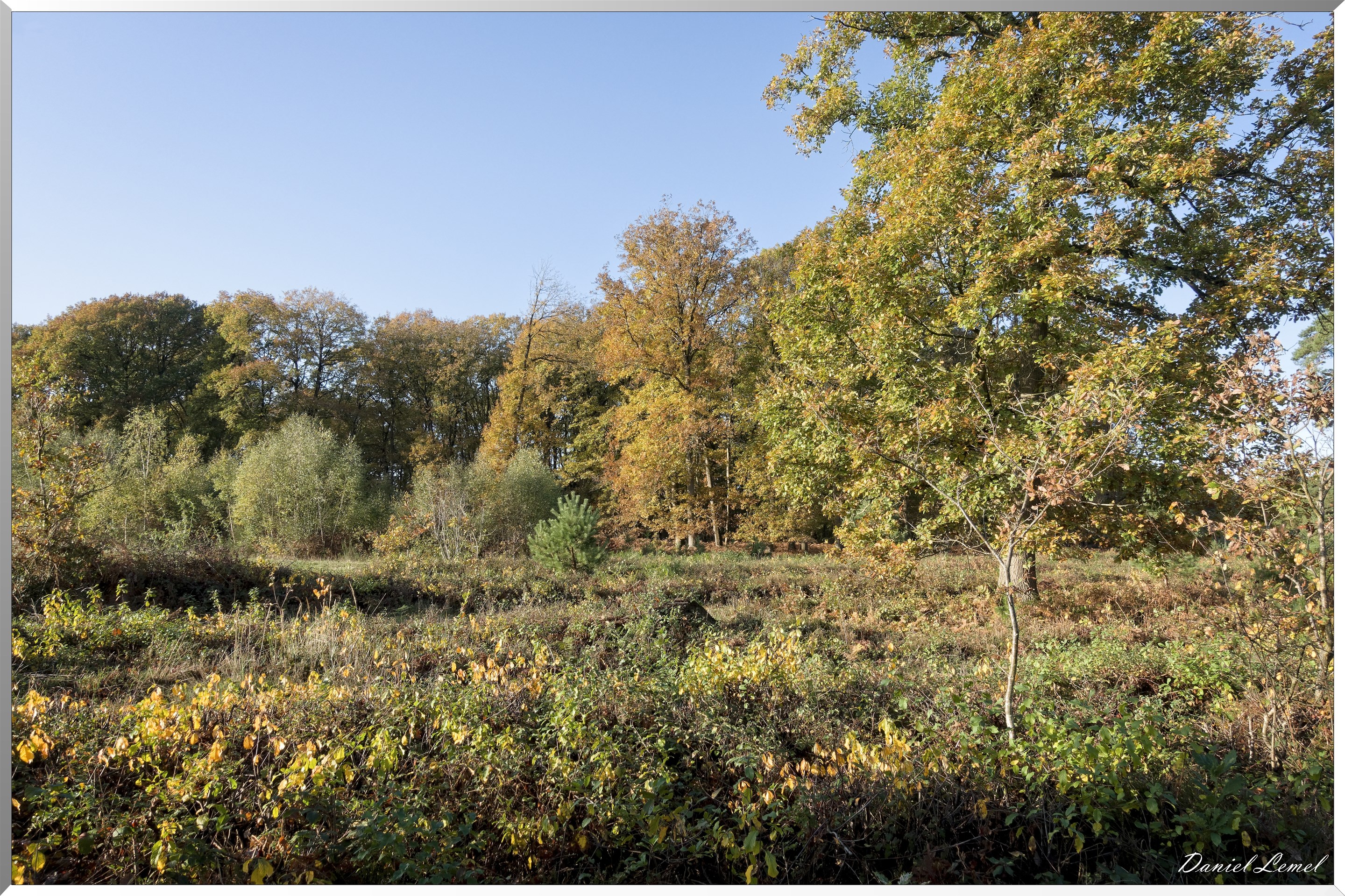 Vernon - Forêt du LRBA