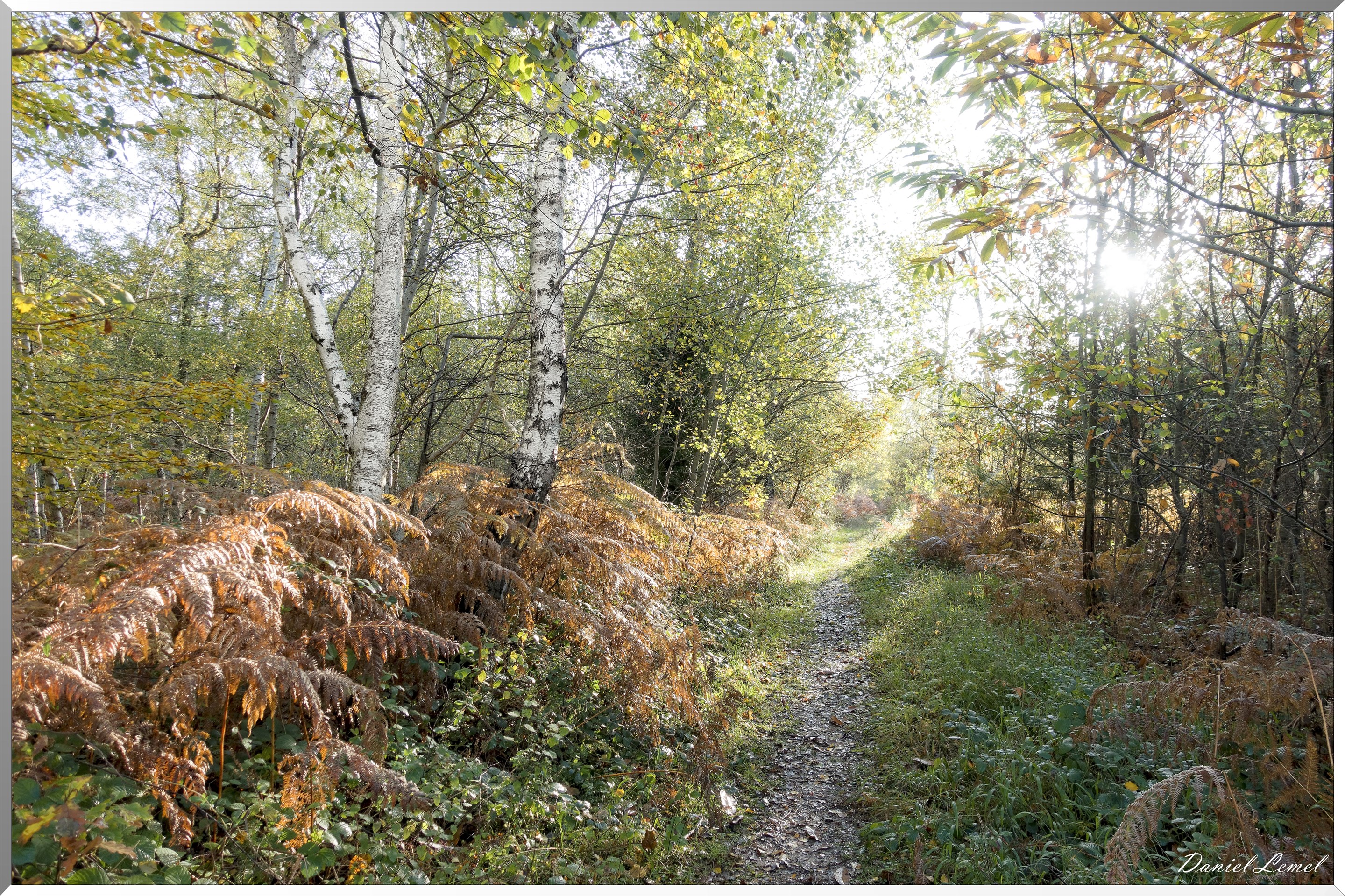 Vernon - Forêt du LRBA