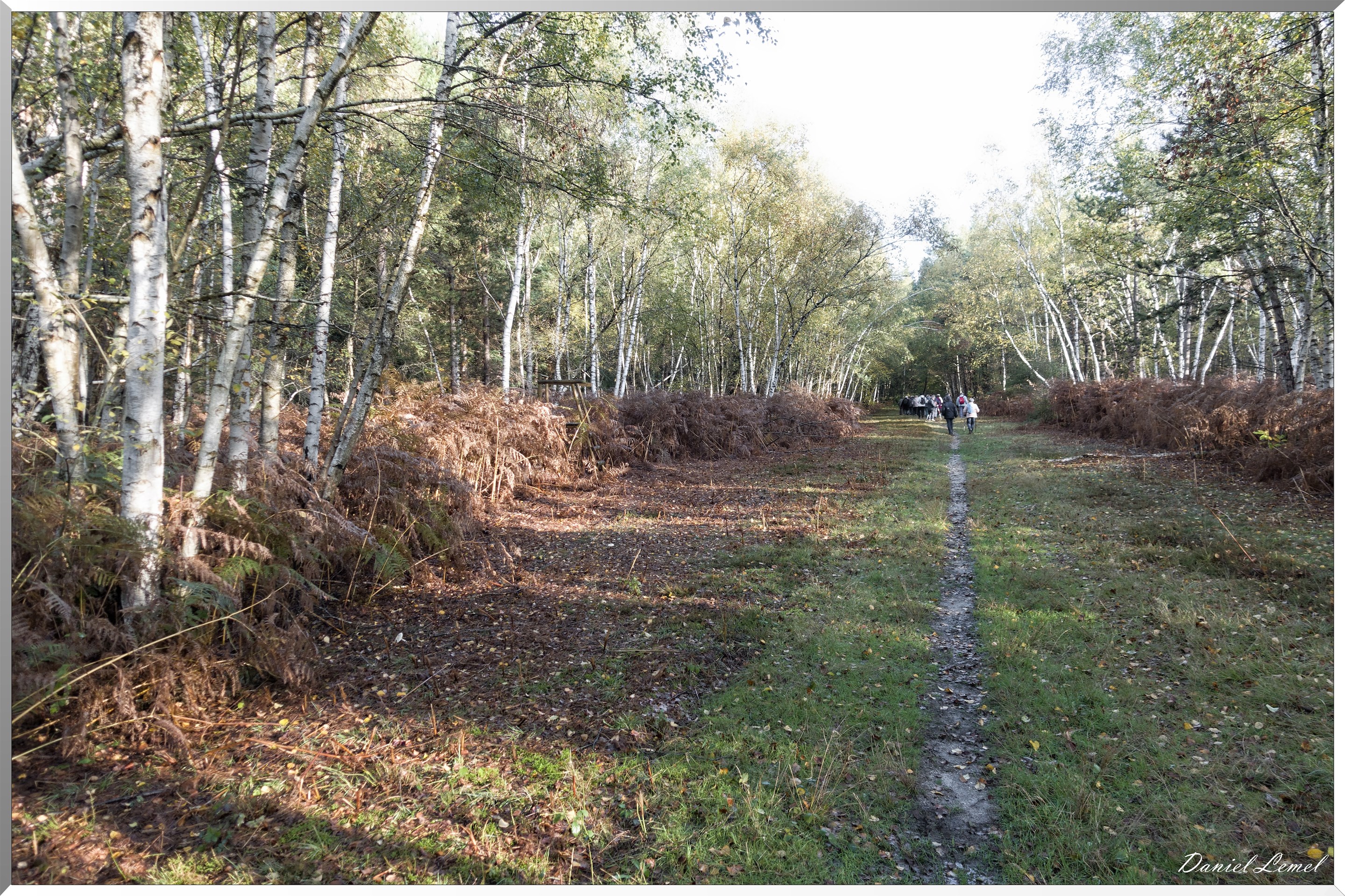 Vernon - Forêt du LRBA