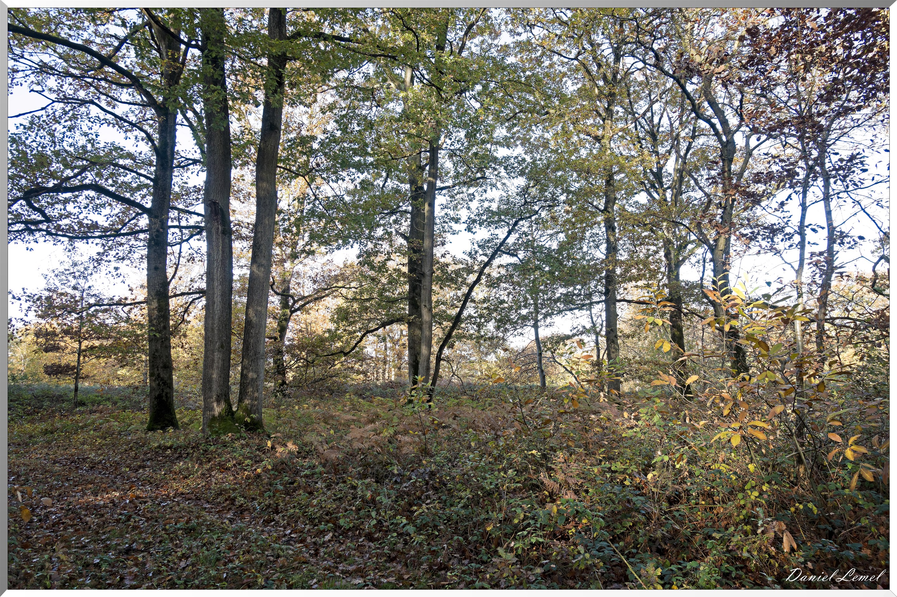 Vernon - Forêt du LRBA