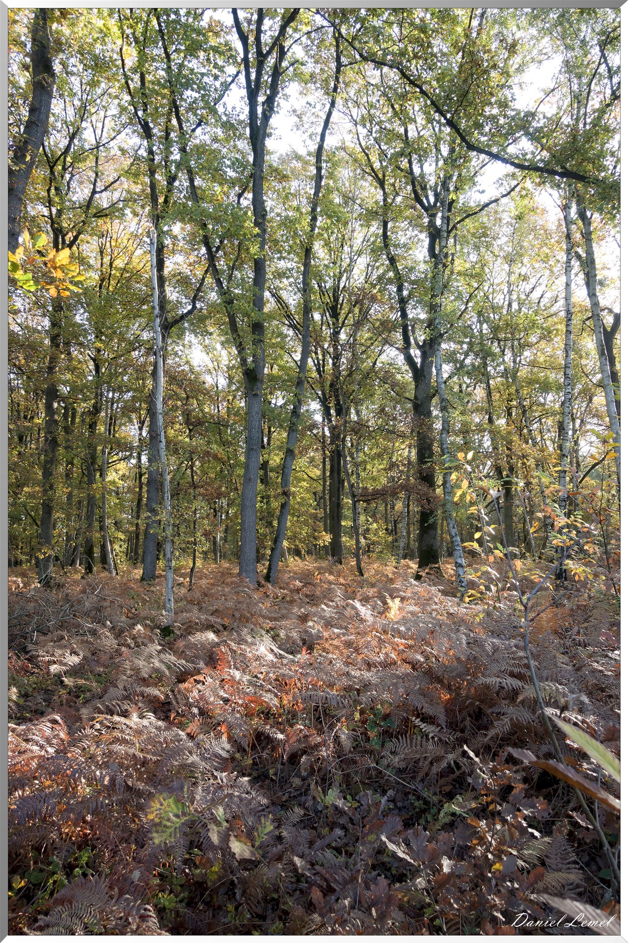 Vernon - Forêt du LRBA