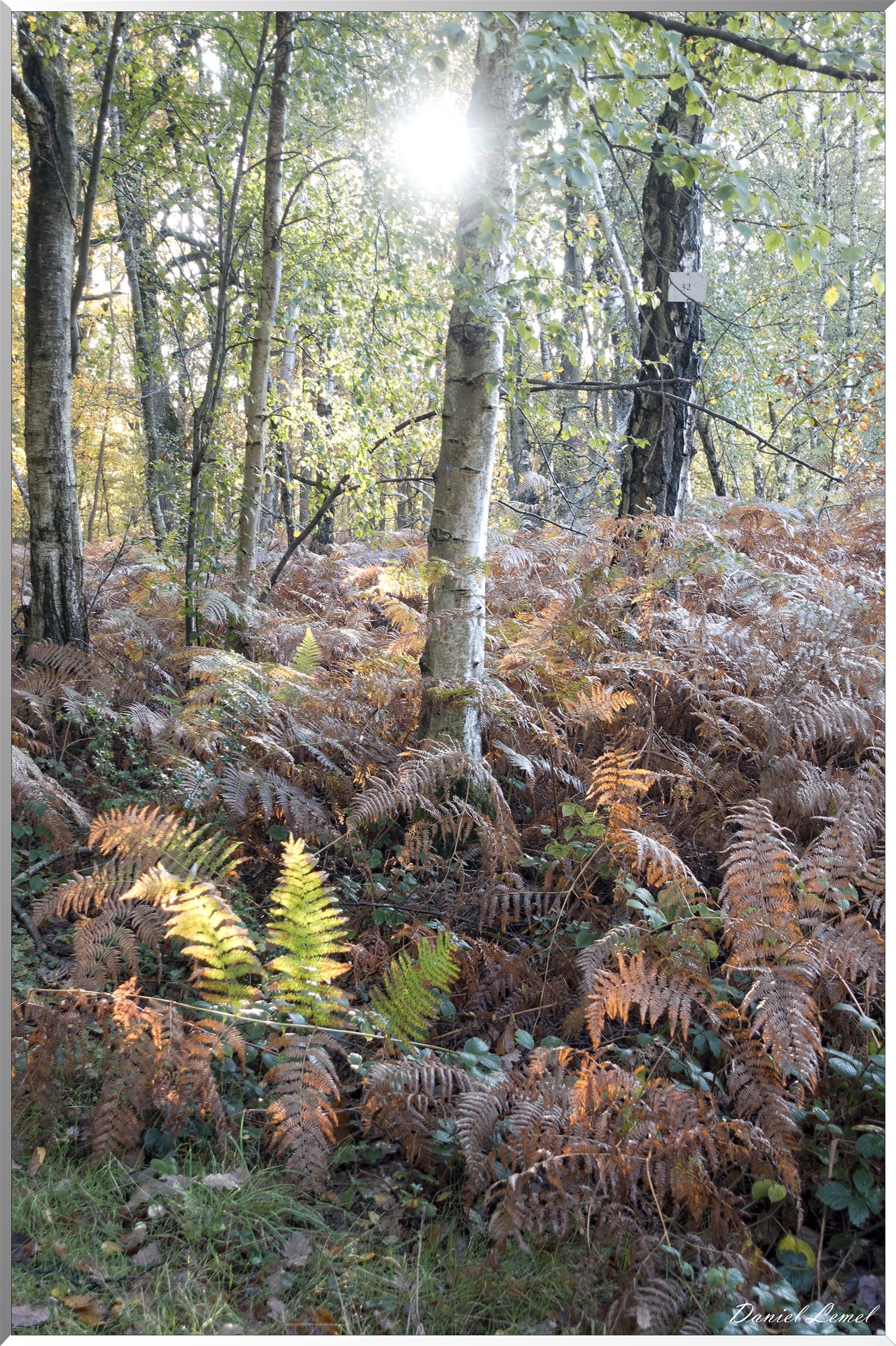 Vernon - Forêt du LRBA