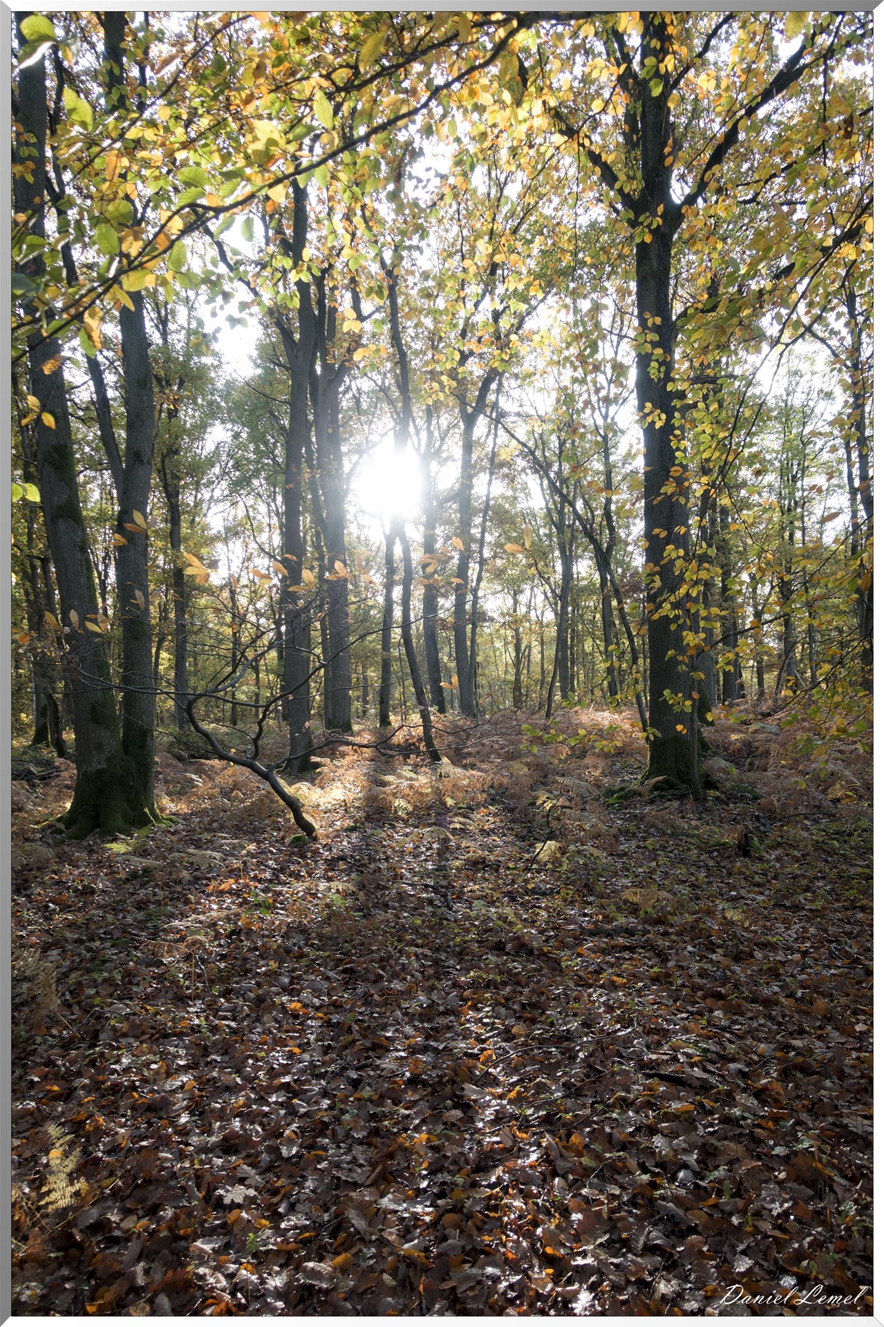 Vernon - Forêt du LRBA