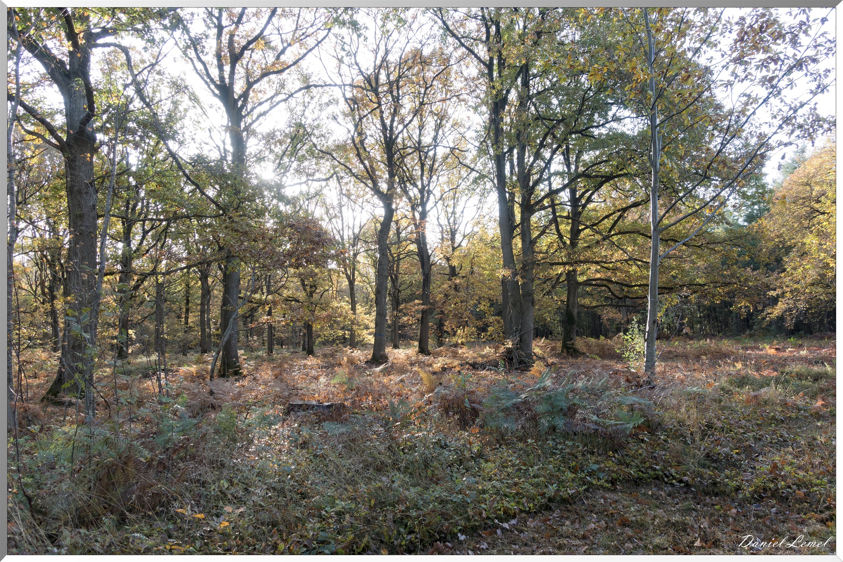 Vernon - Forêt du LRBA