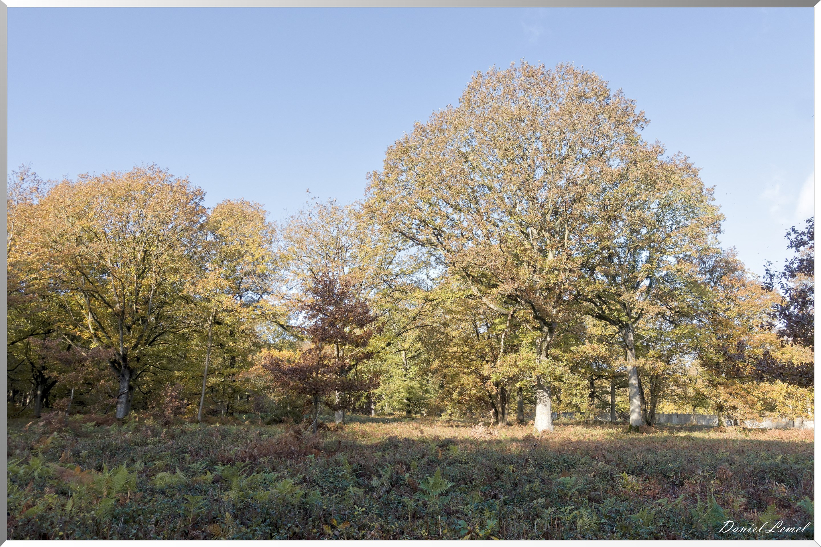Vernon - Forêt du LRBA