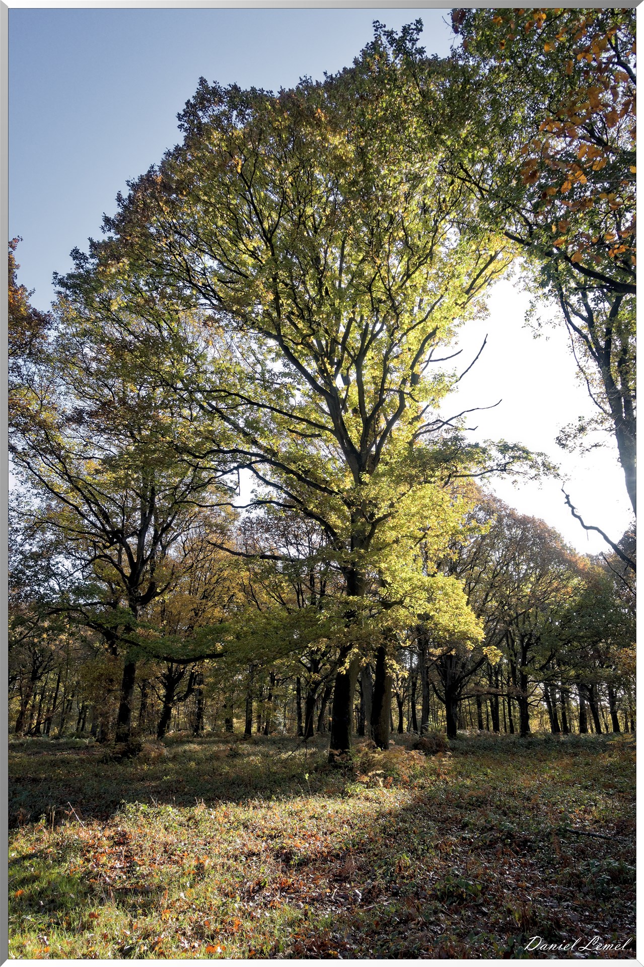 Vernon - Forêt du LRBA