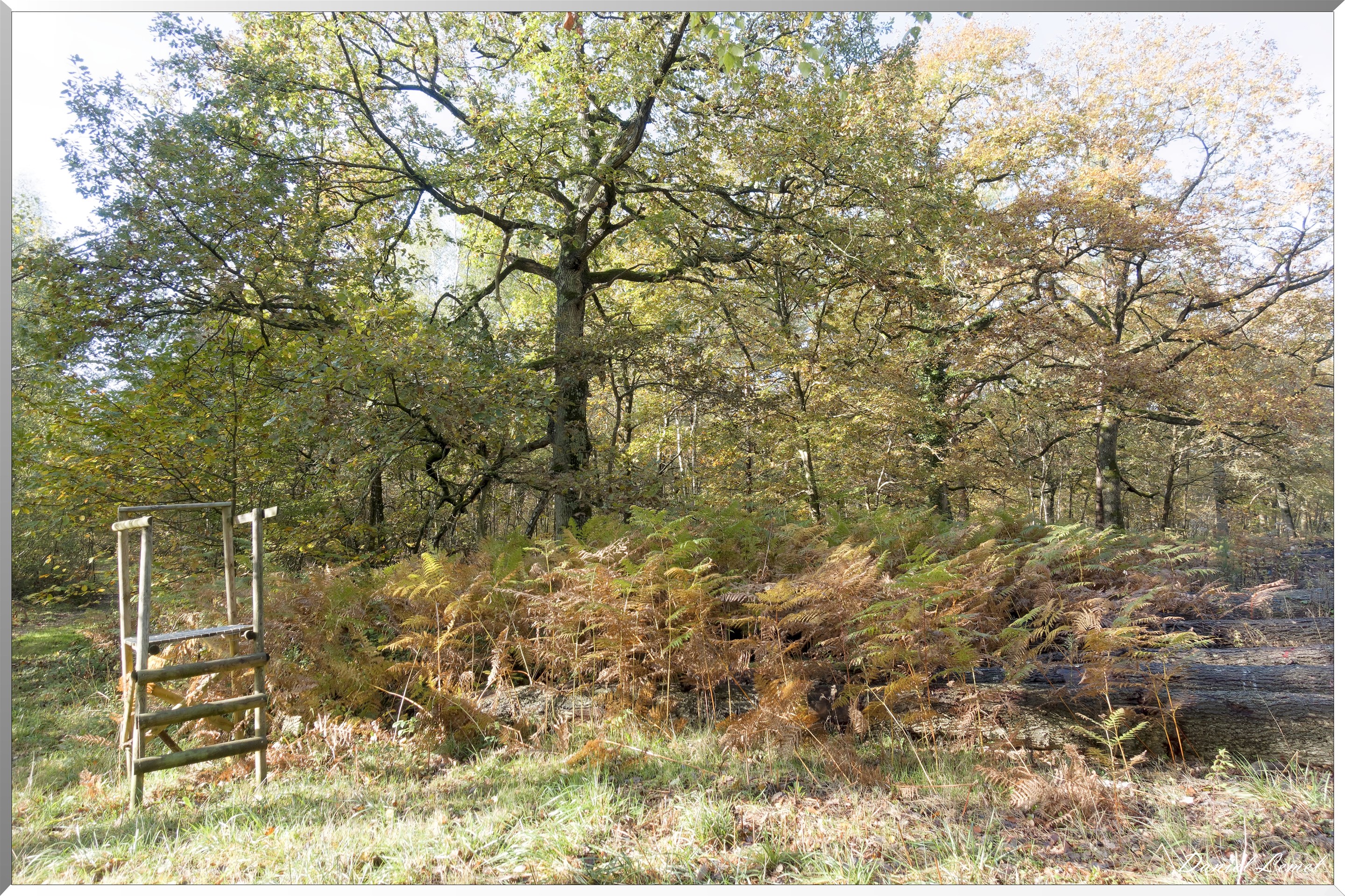 Vernon - Forêt du LRBA