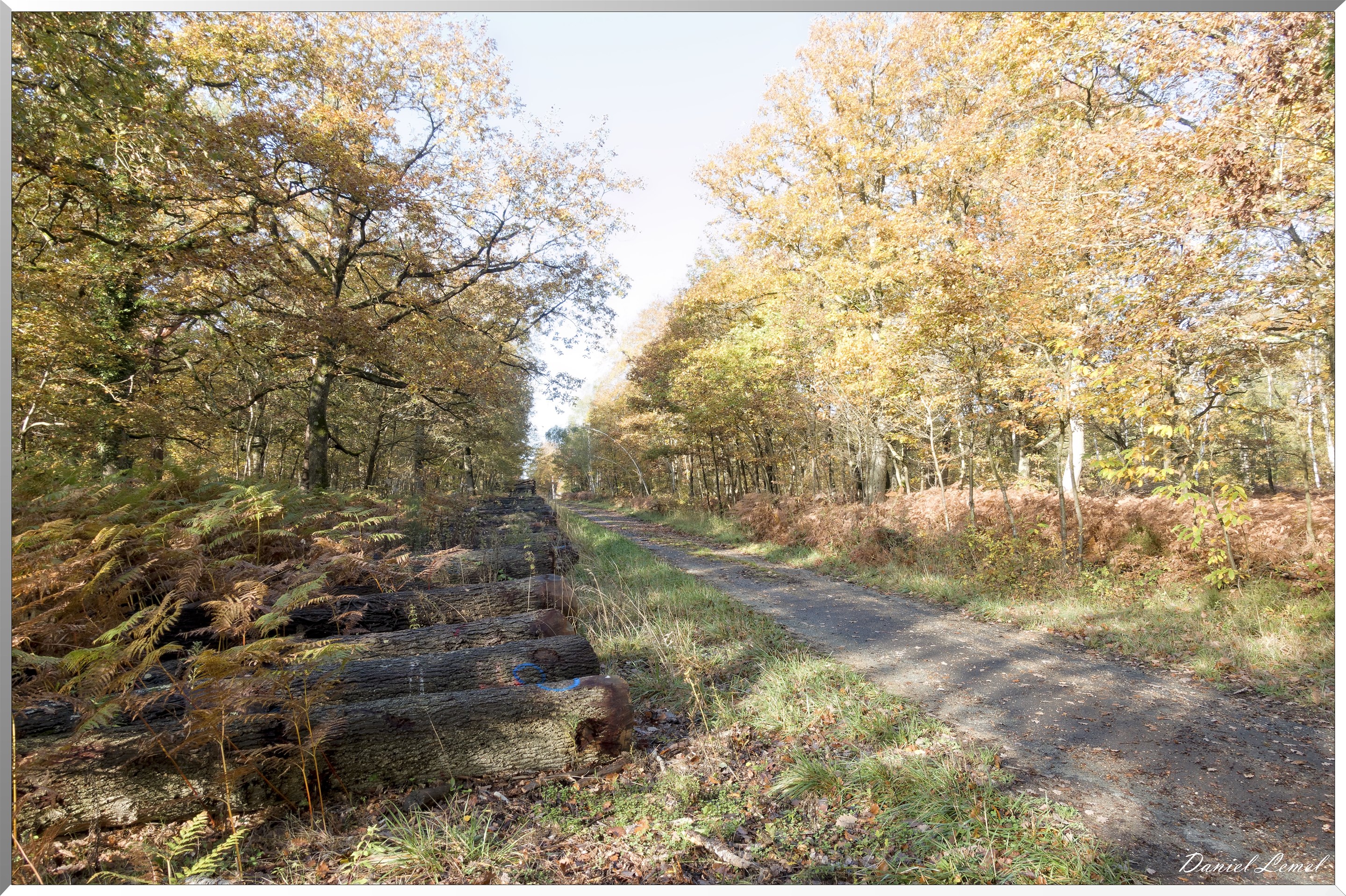 Vernon - Forêt du LRBA
