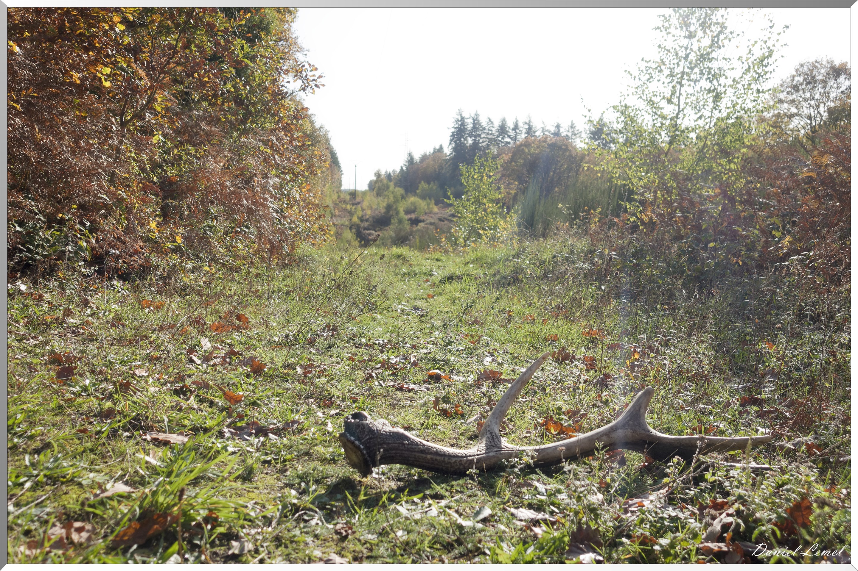 Vernon - Forêt du LRBA