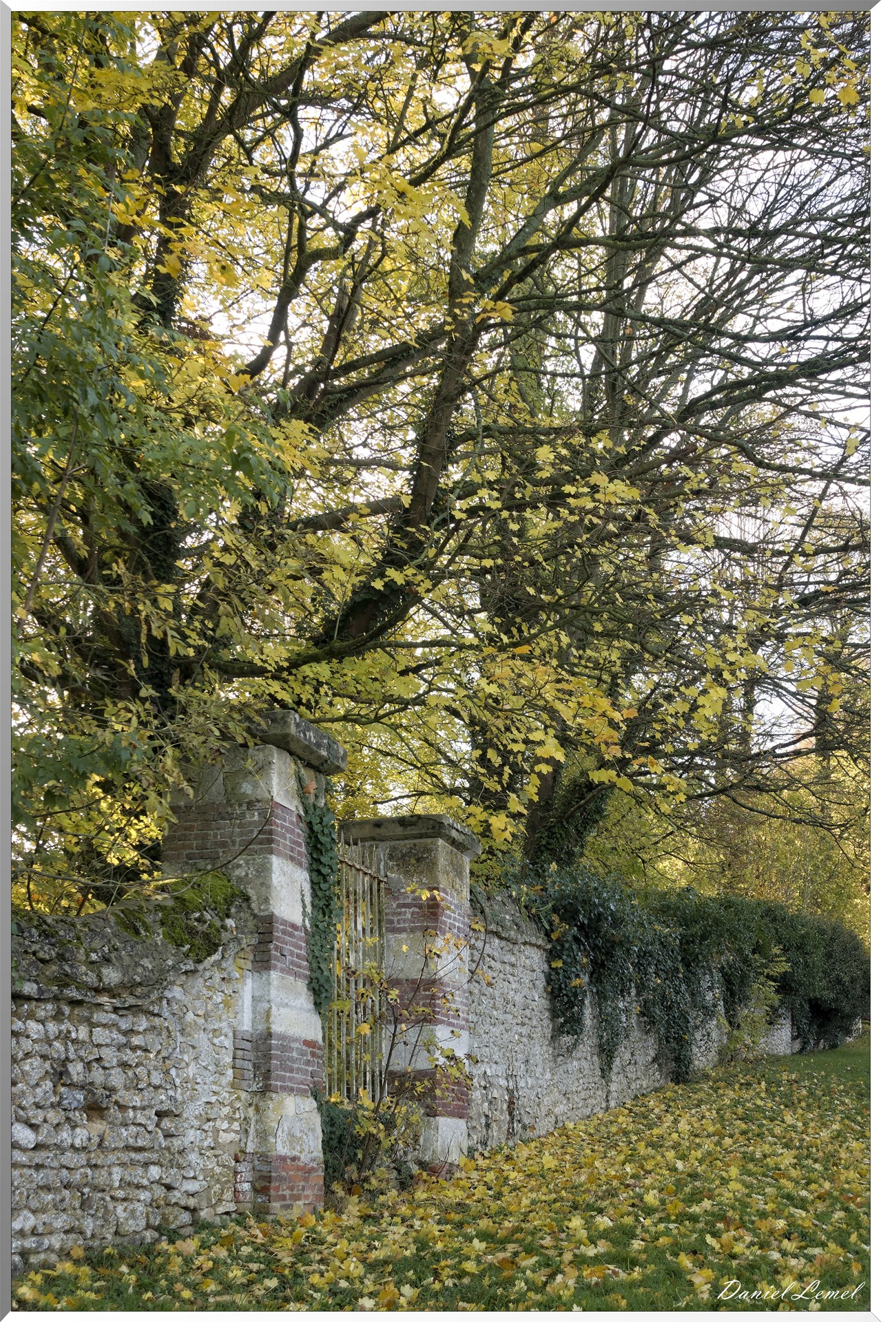 Noyers