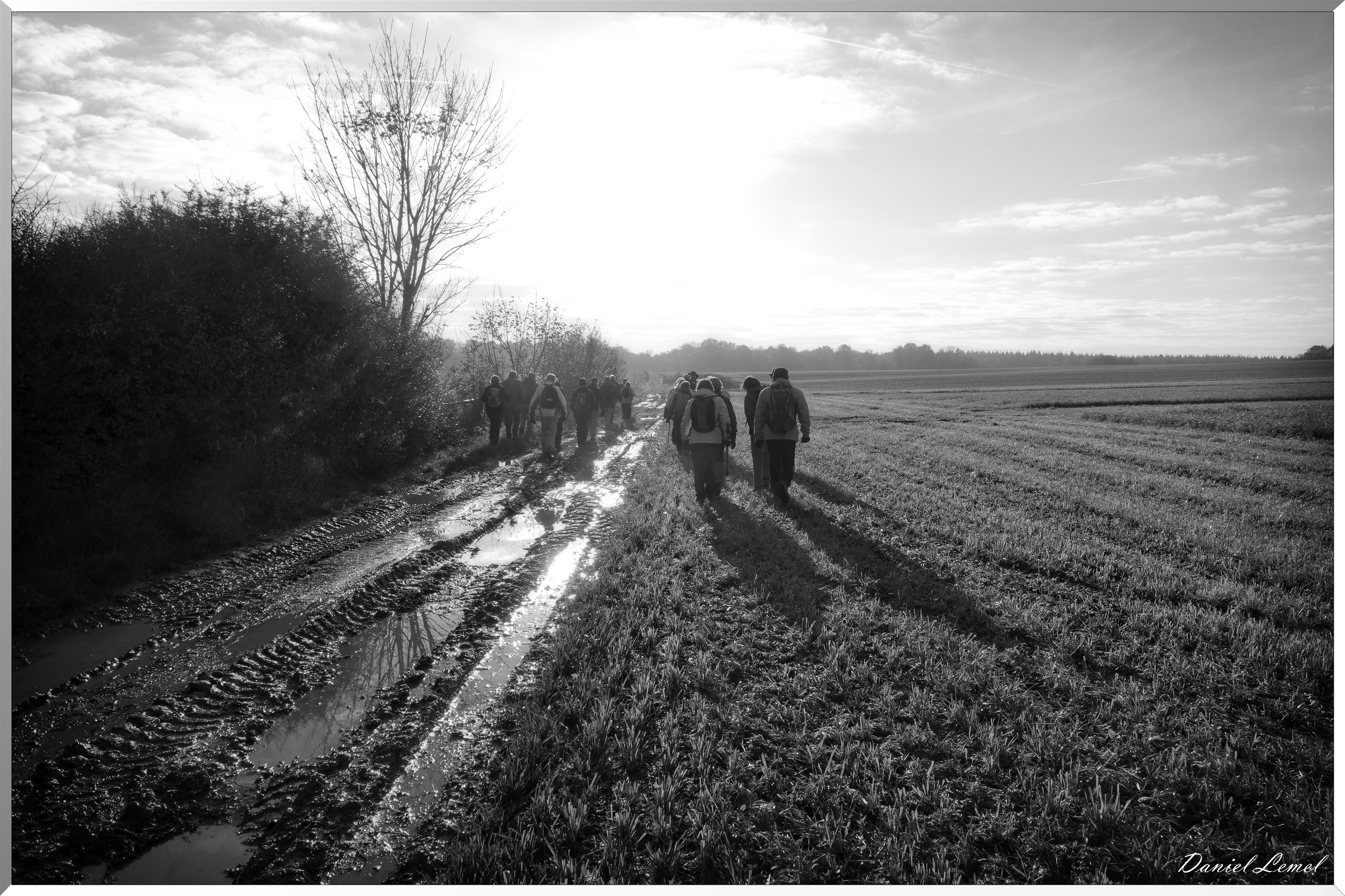 Noyers