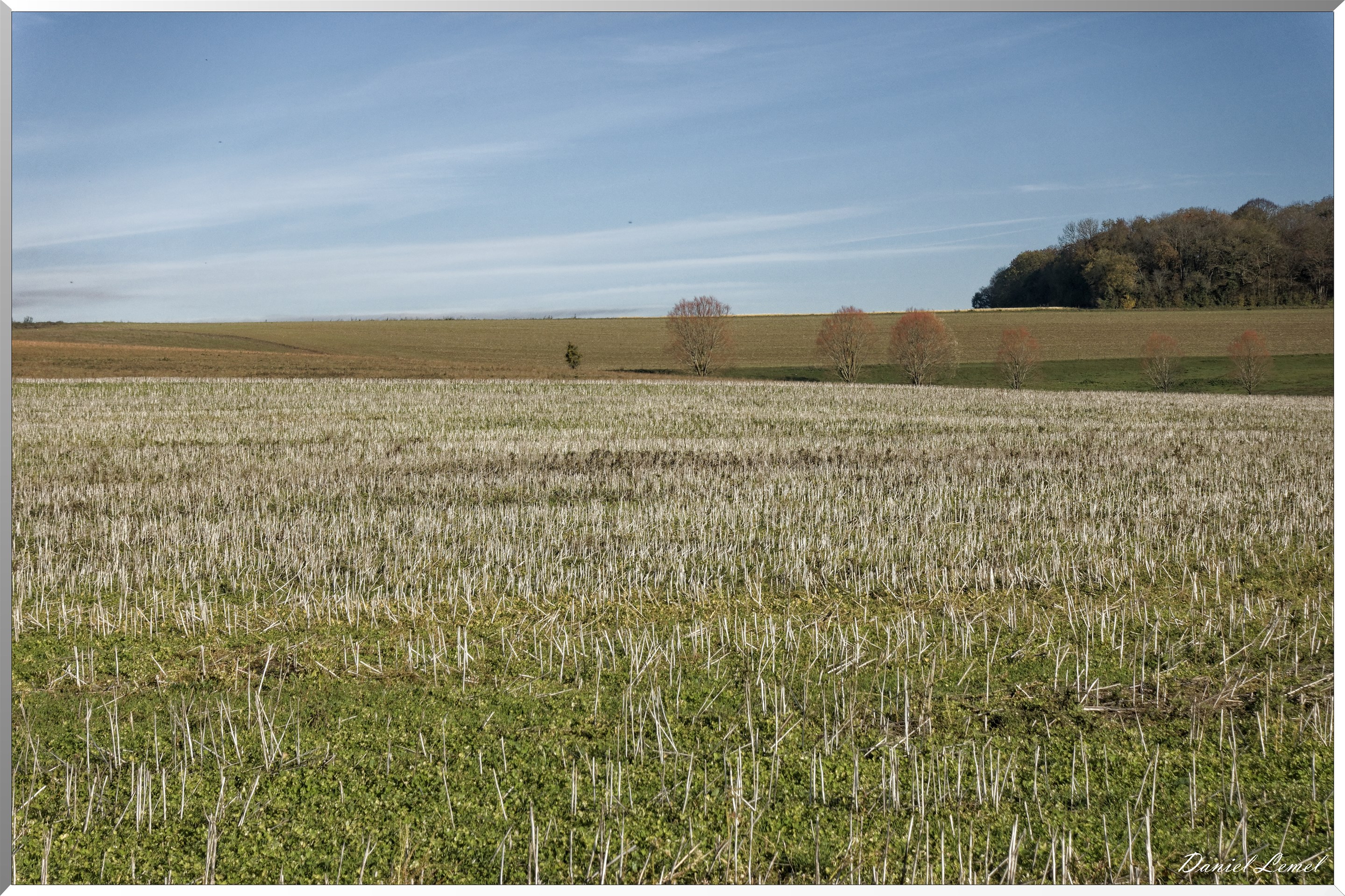Noyers