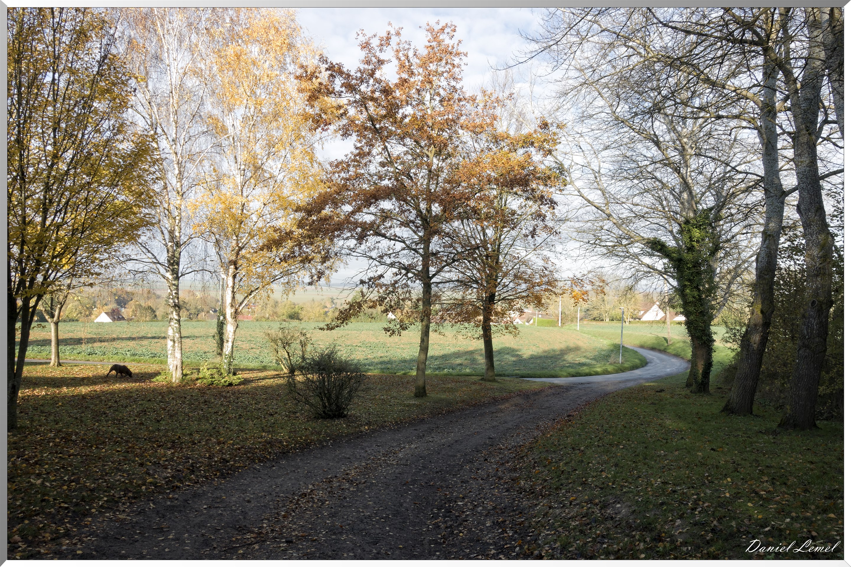 Noyers