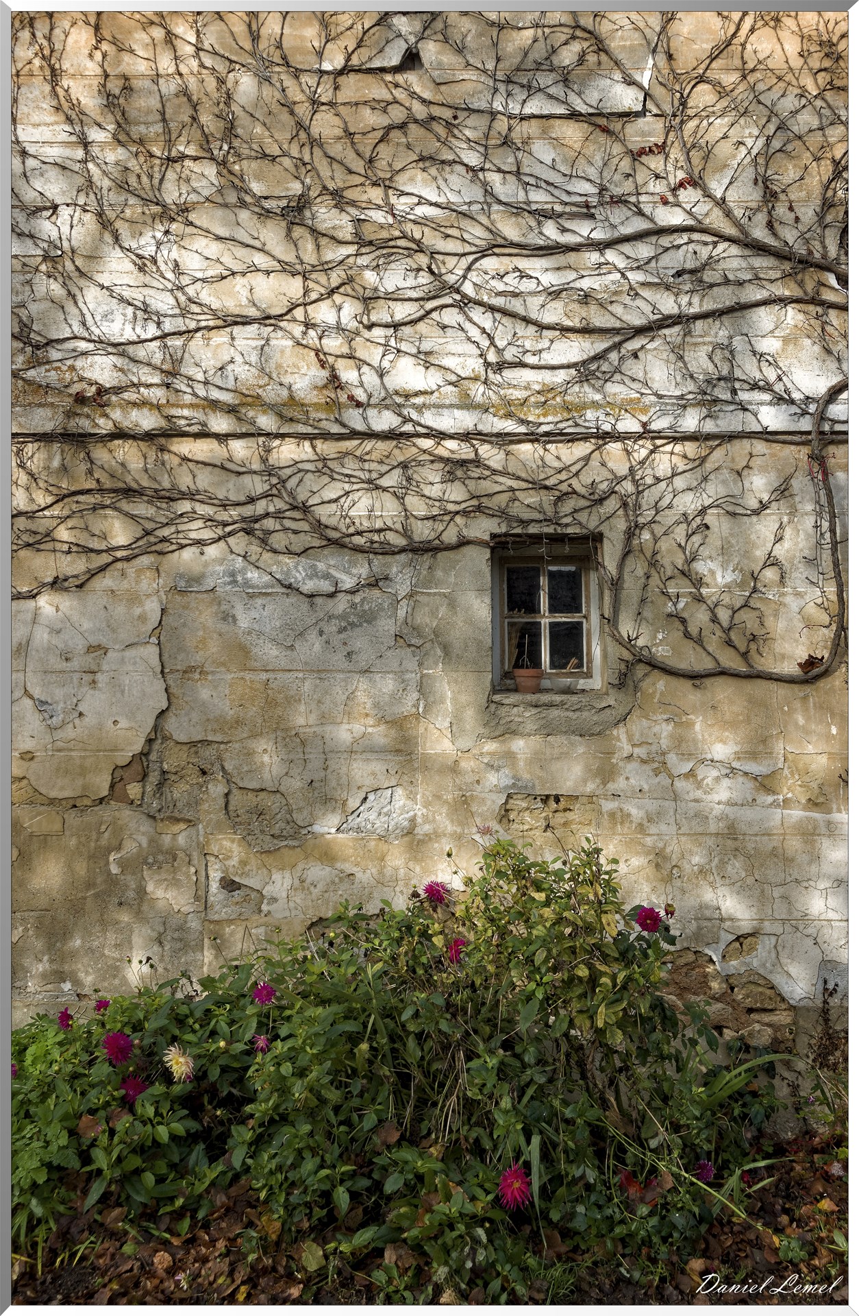 Noyers