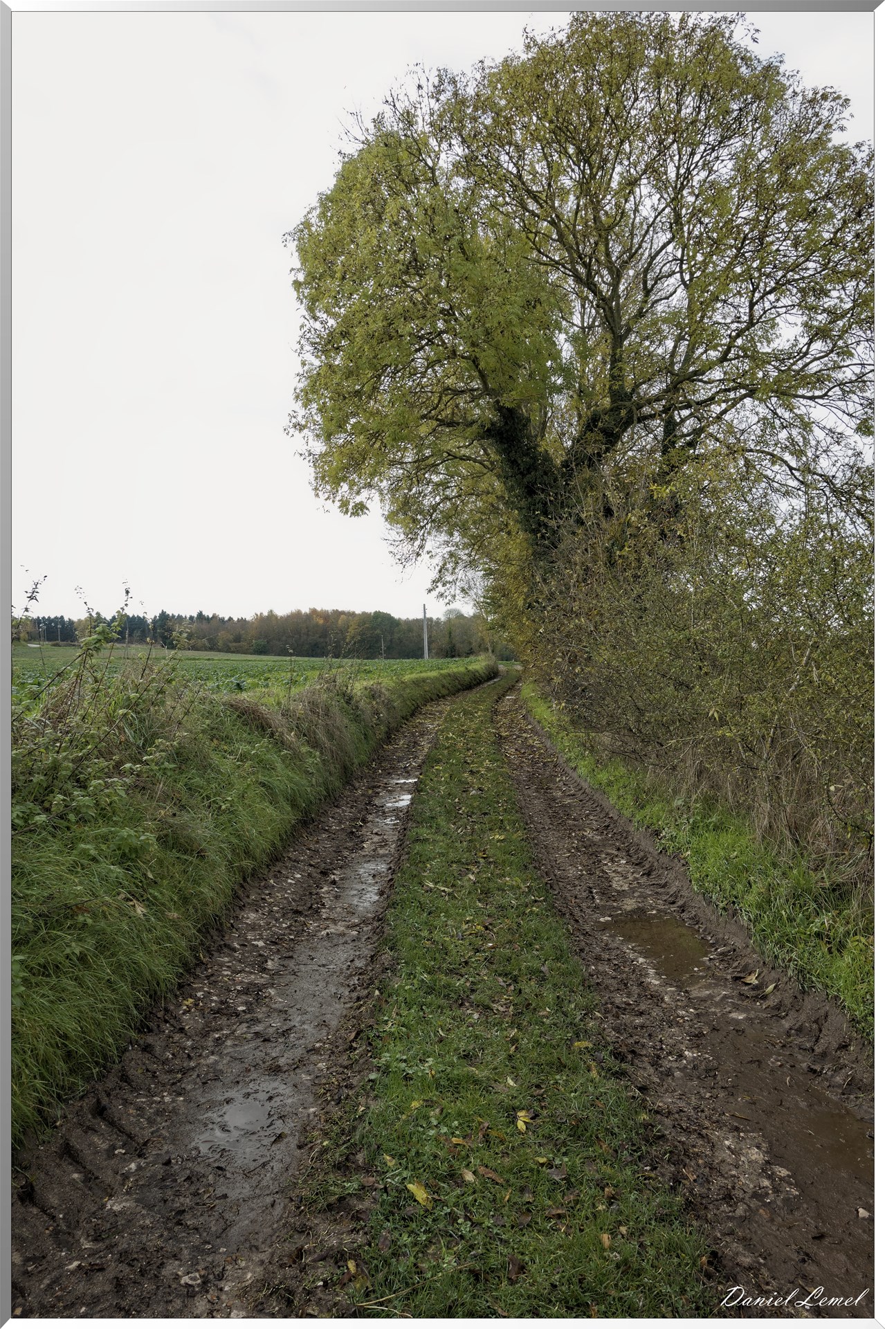 Noyers