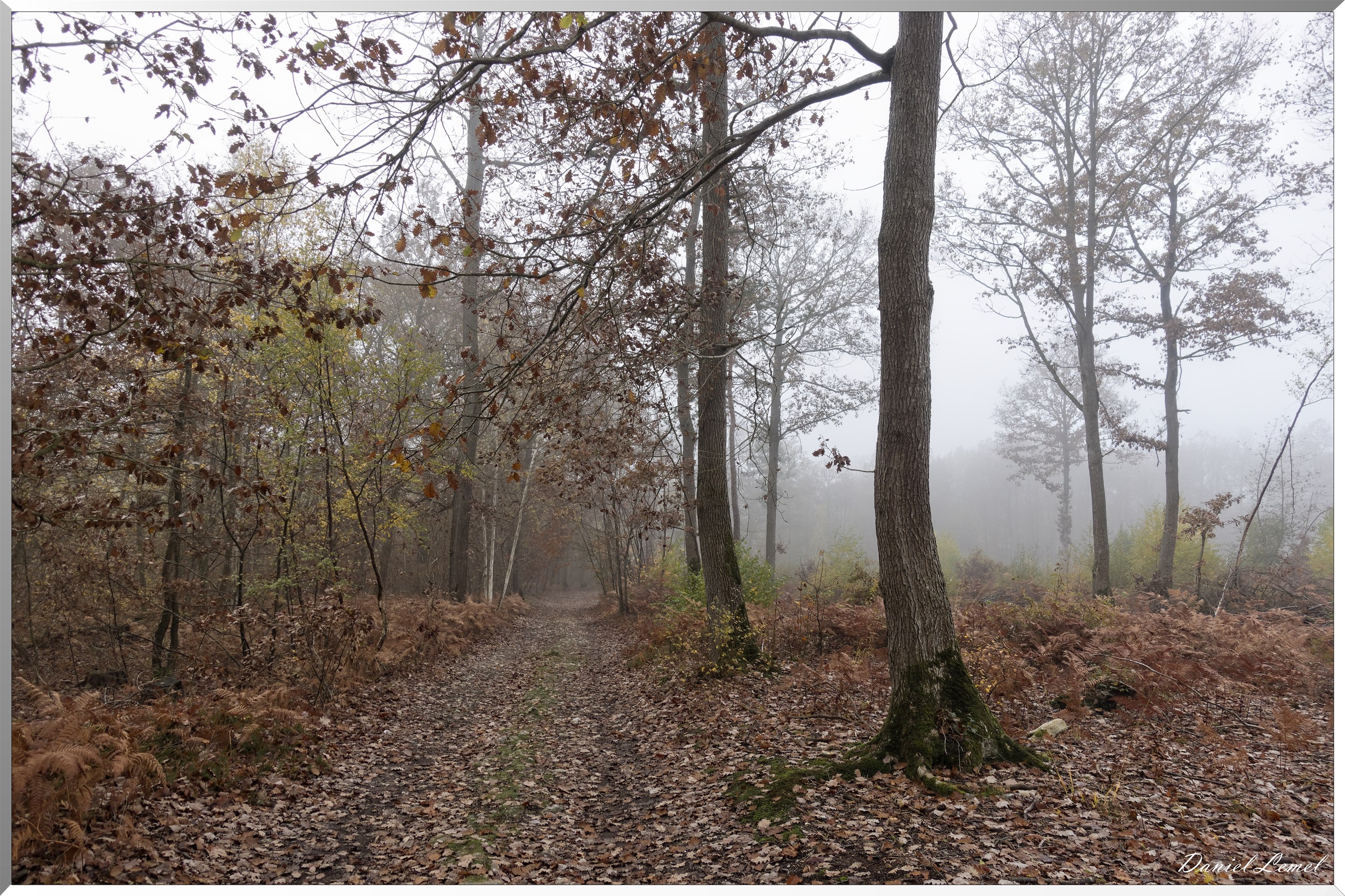 La chapelle Réanville