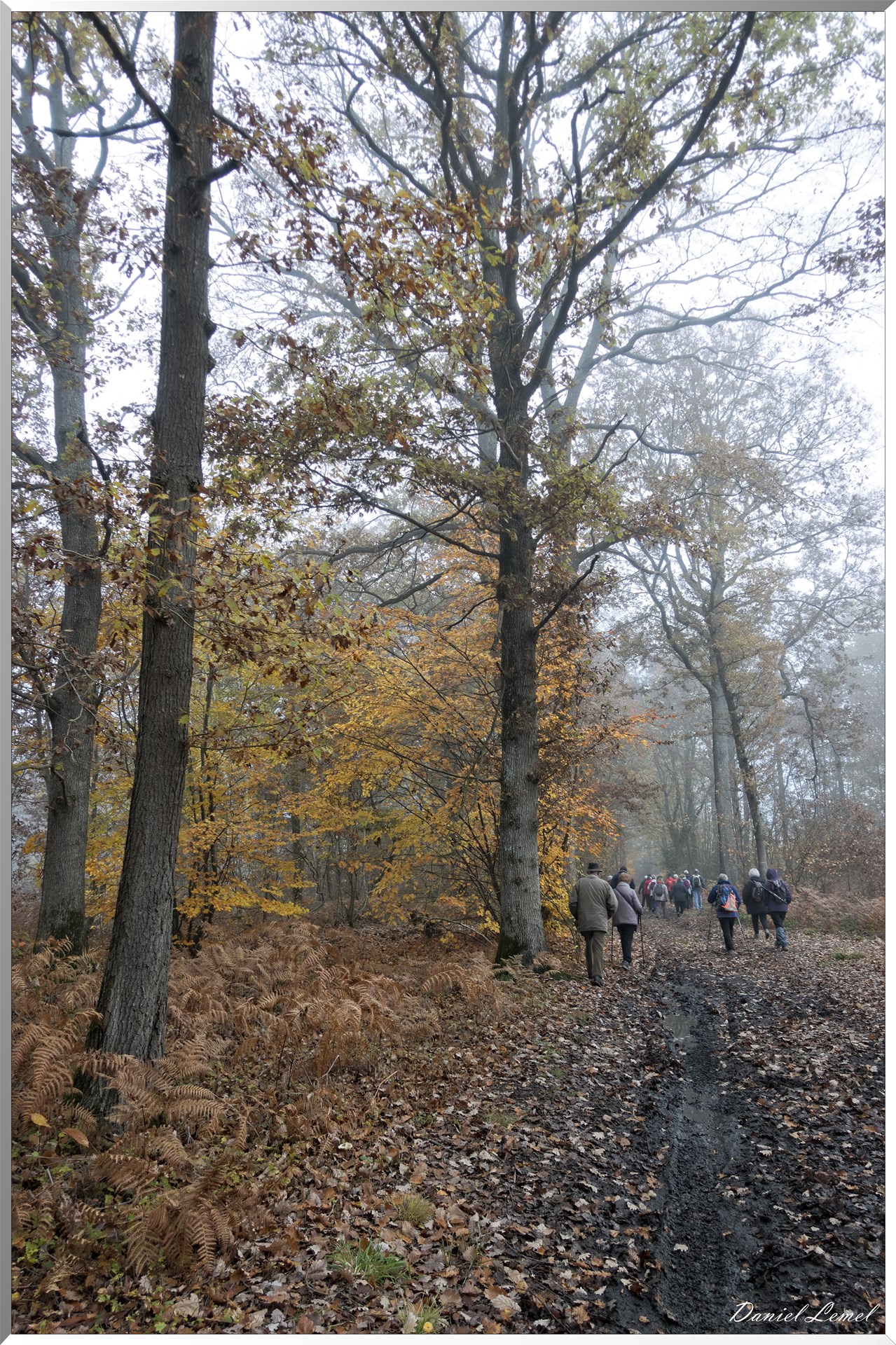 La chapelle Réanville