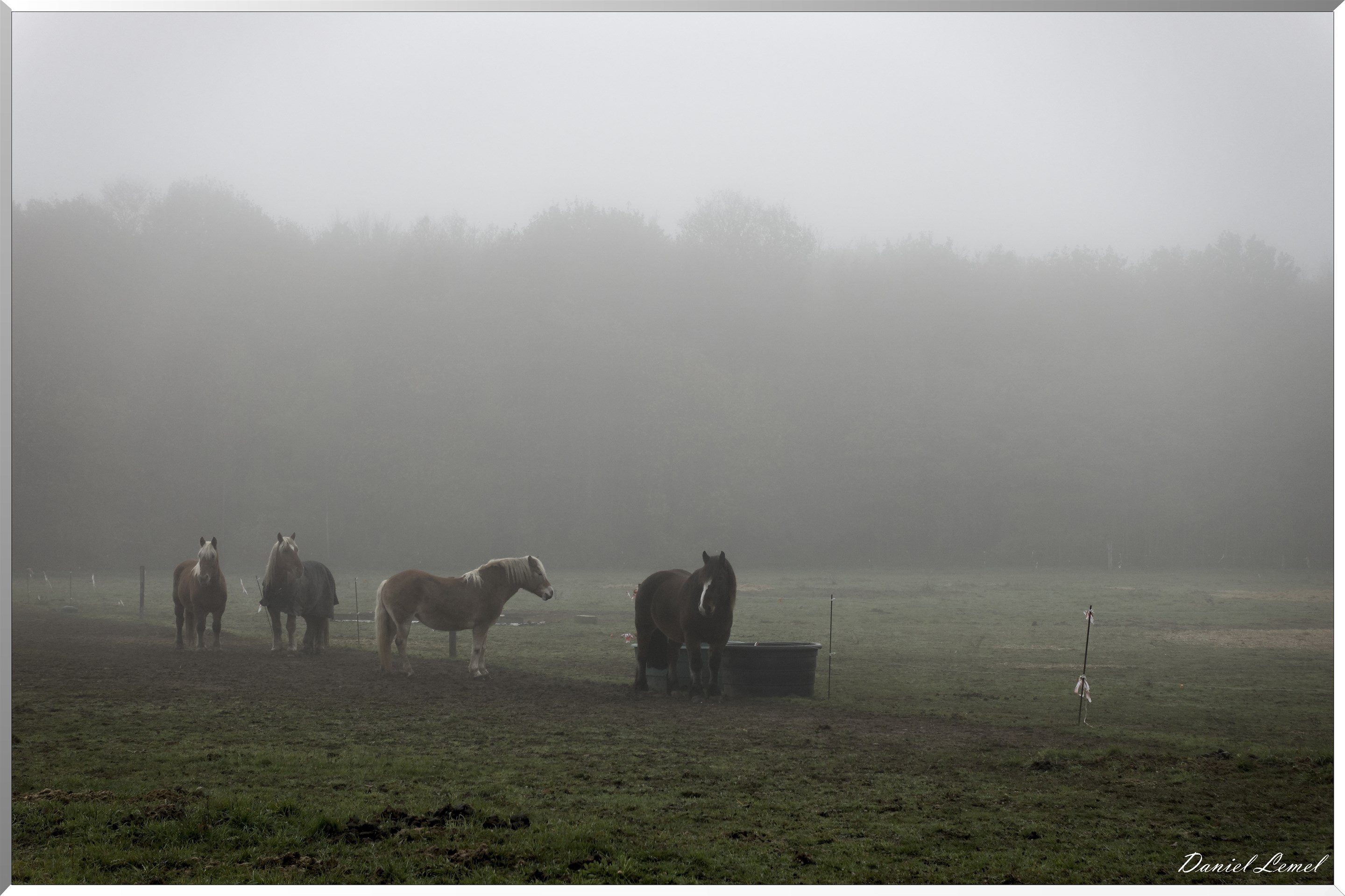 La chapelle Réanville