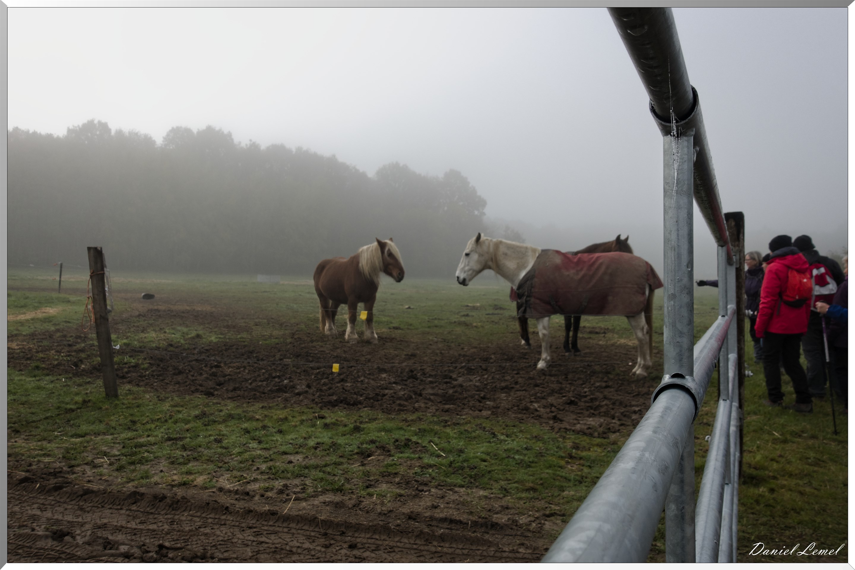 La chapelle Réanville