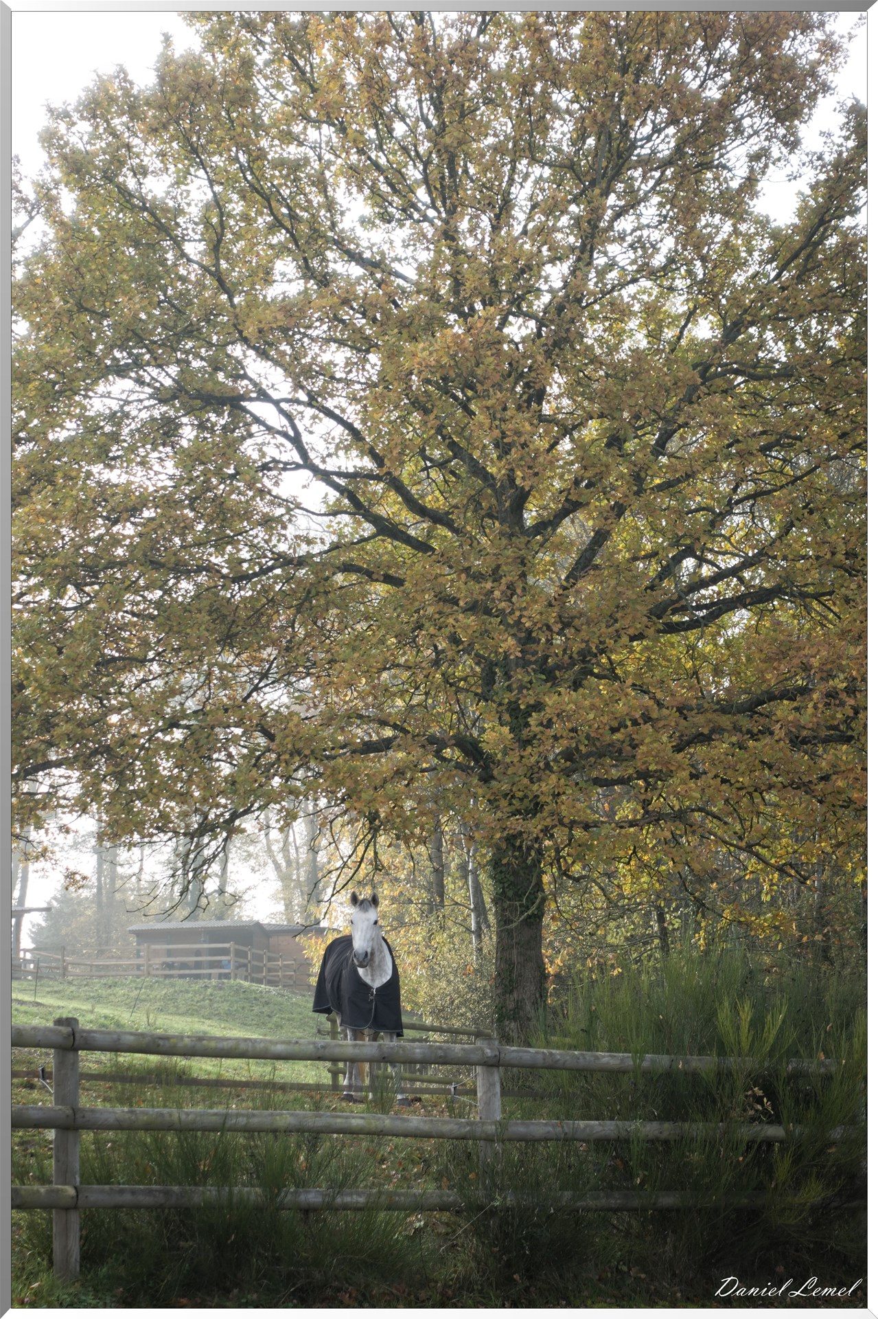 La chapelle Réanville